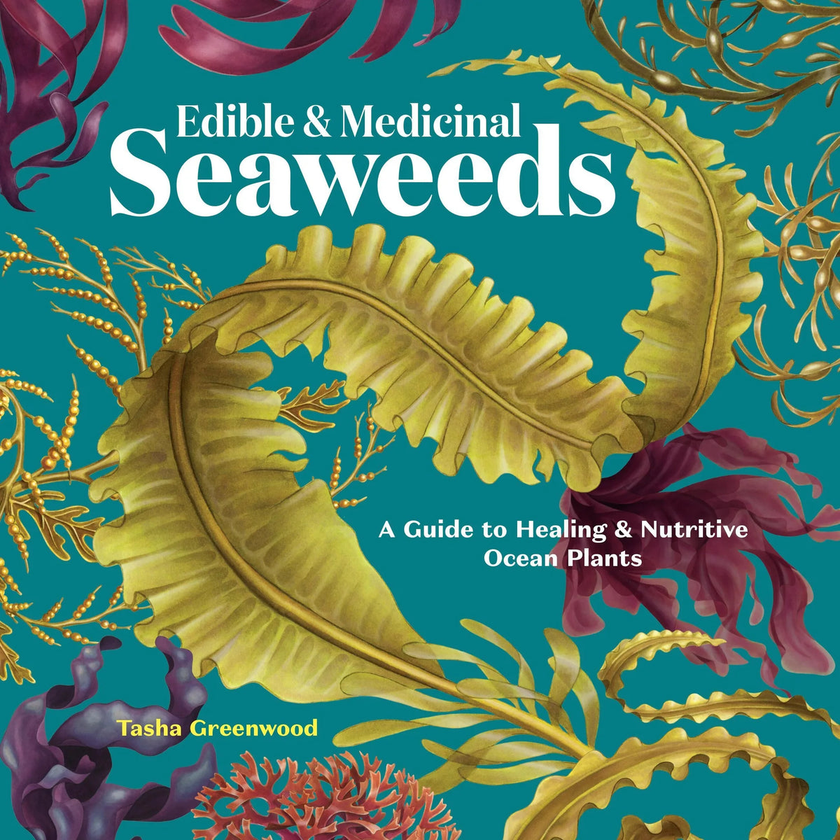 Edible & Medicinal Seaweeds