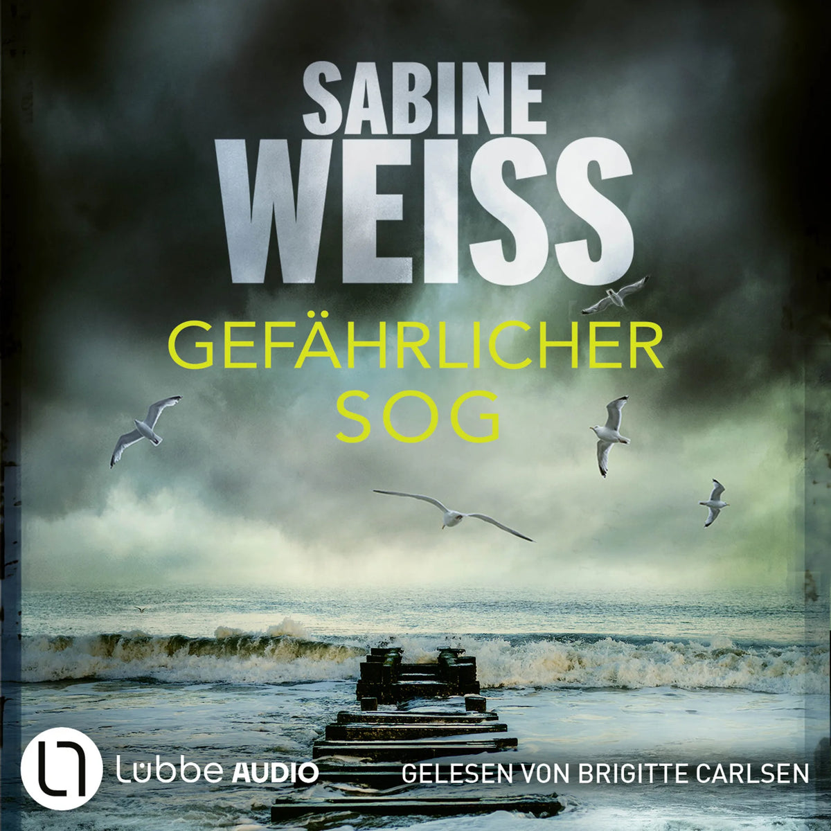 Gefährlicher Sog - Liv Lammers, Teil 8