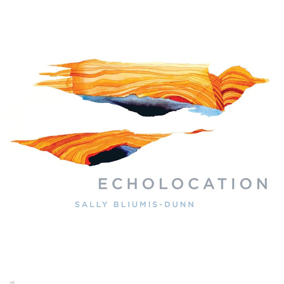 Echolocation