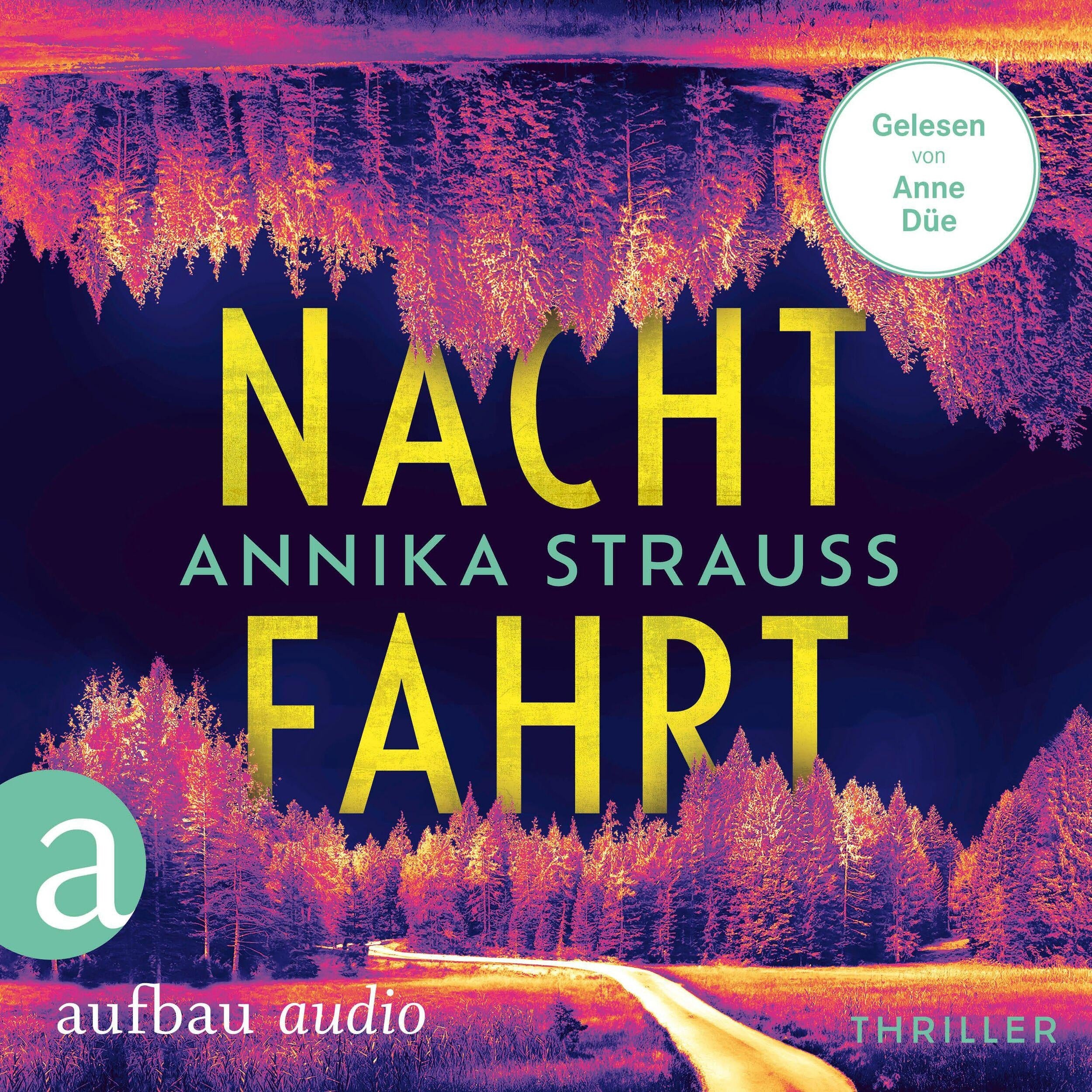 Nachtfahrt - Thriller (Ungekürzt)
