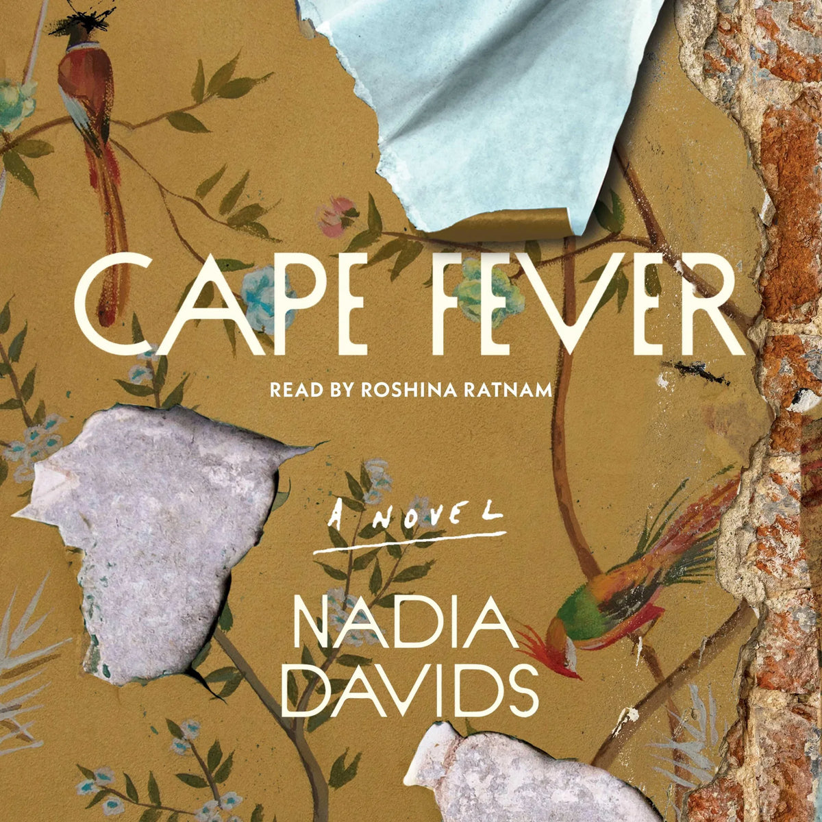 Cape Fever