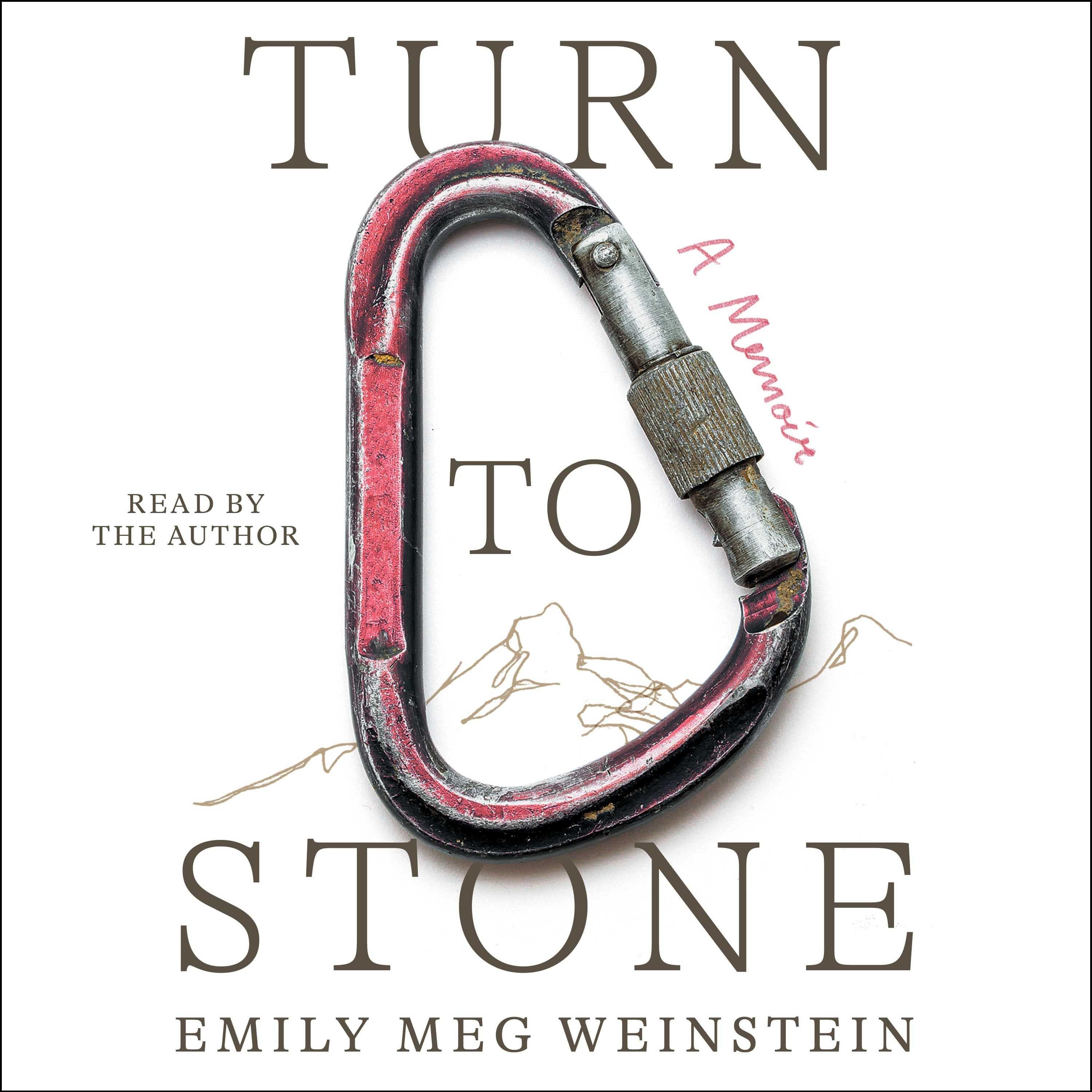 Turn to Stone