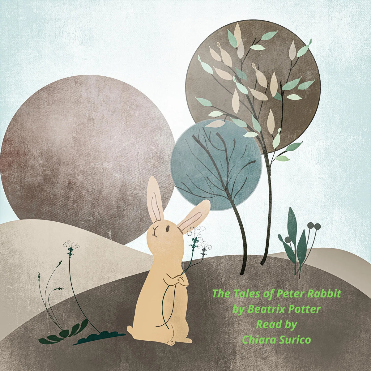 The tale of Peter Rabbit