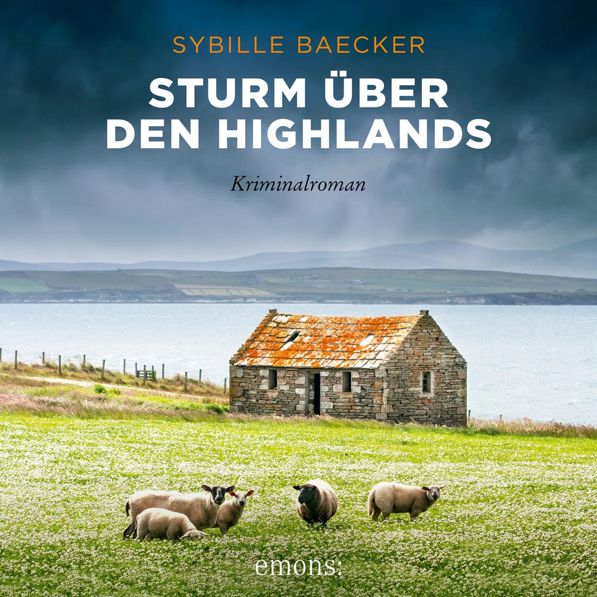 Sturm über den Highlands - Kriminalroman (Ungekürzt)