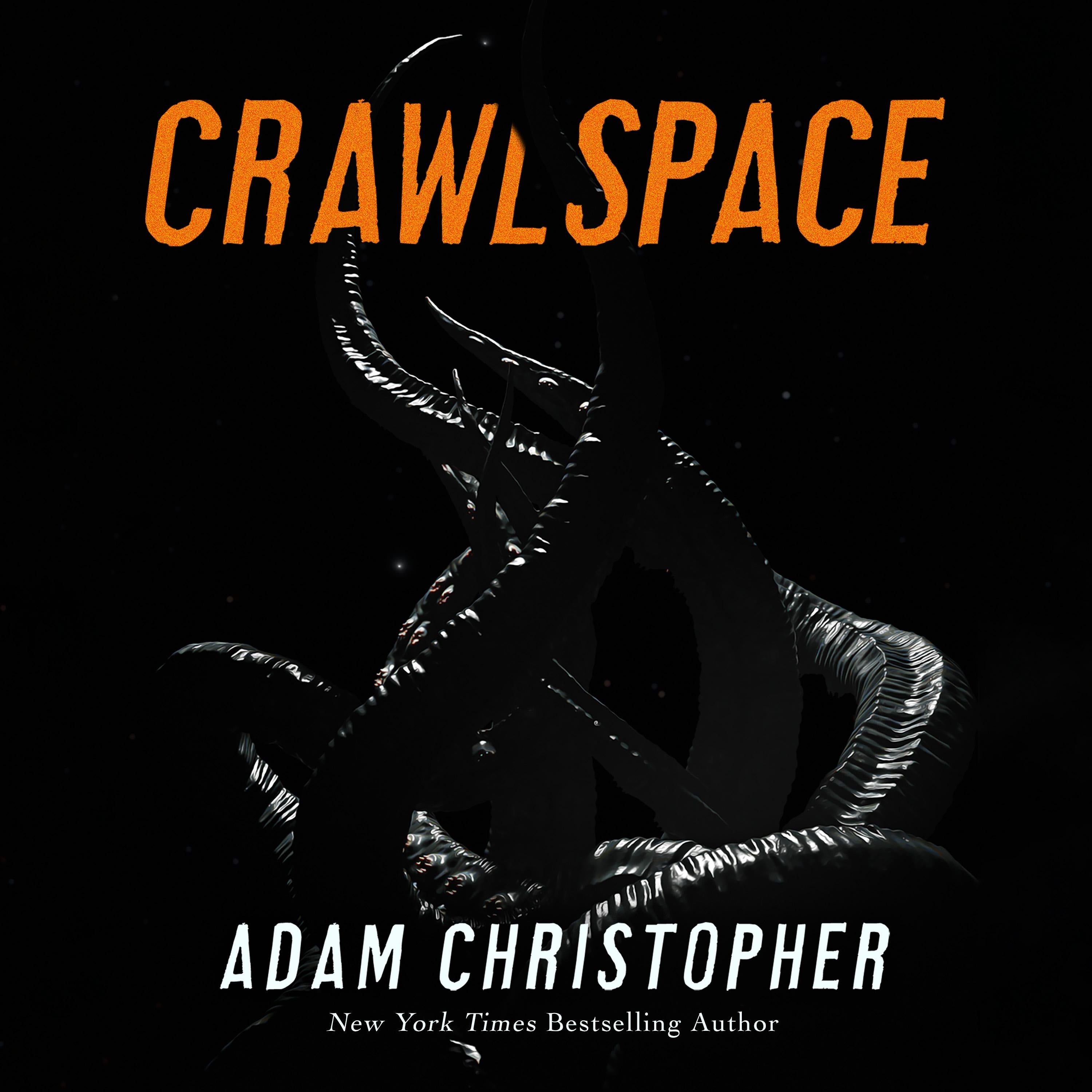 Crawlspace