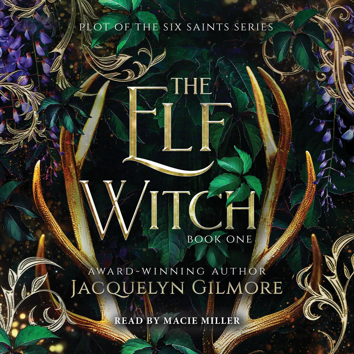 The Elf Witch