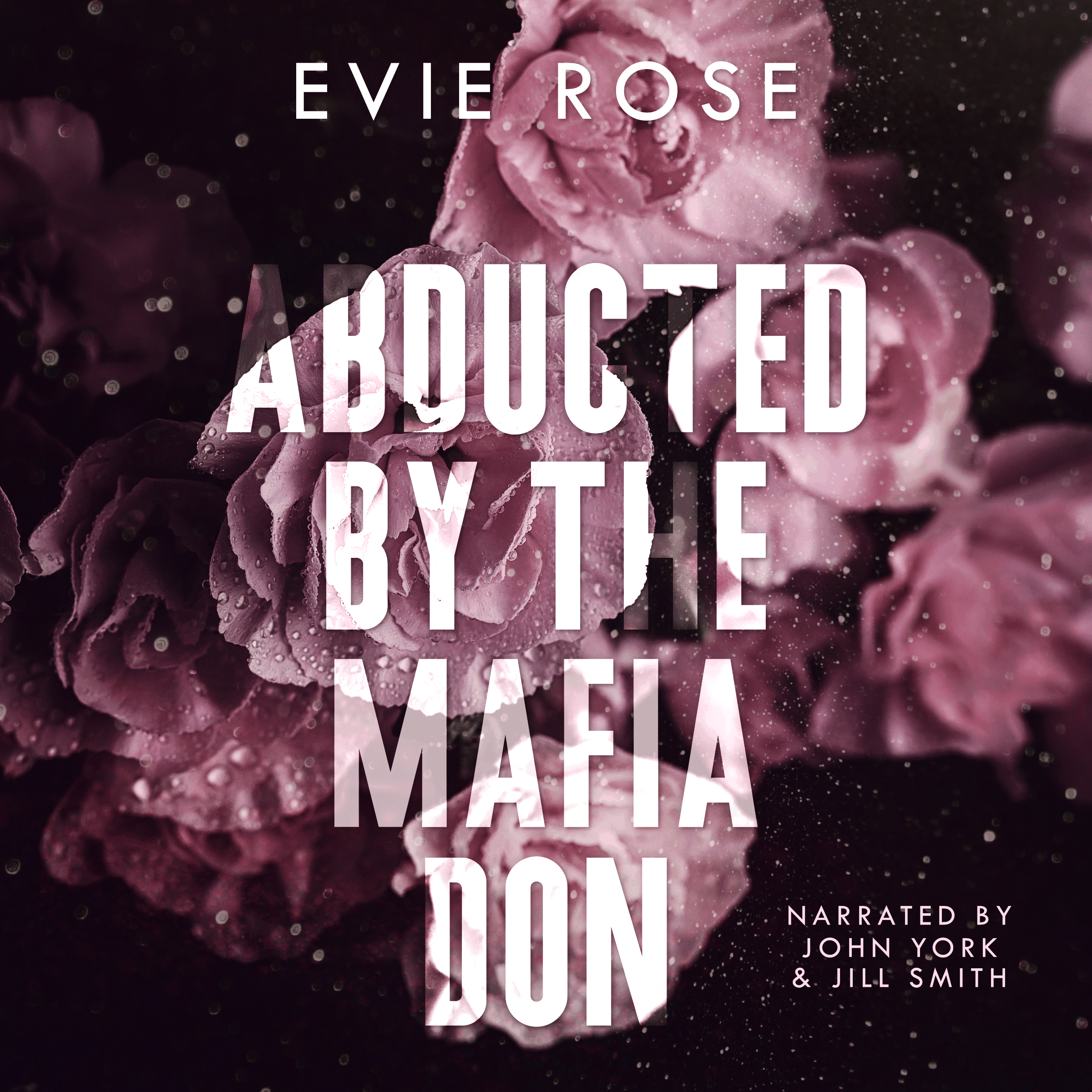 Abducted by the Mafia Don
