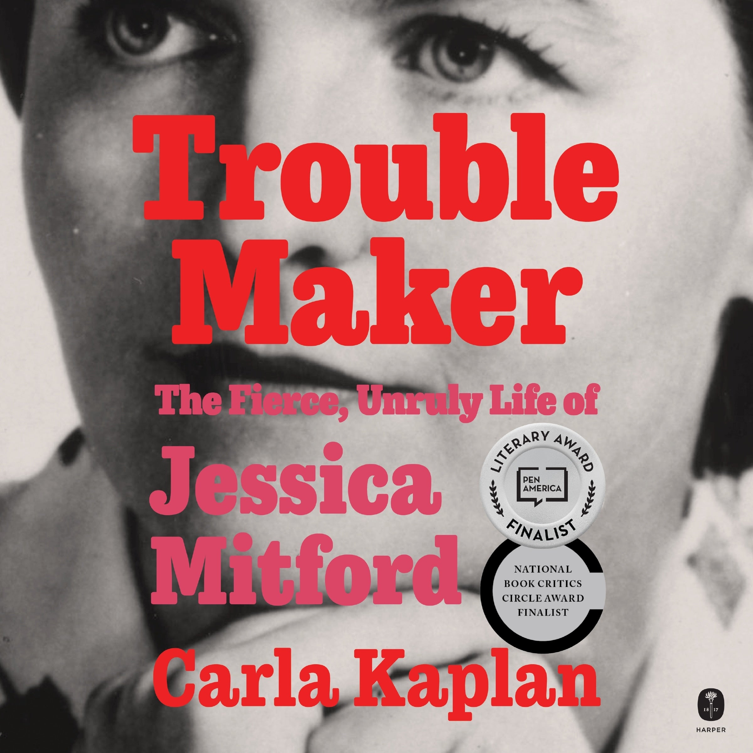 Troublemaker