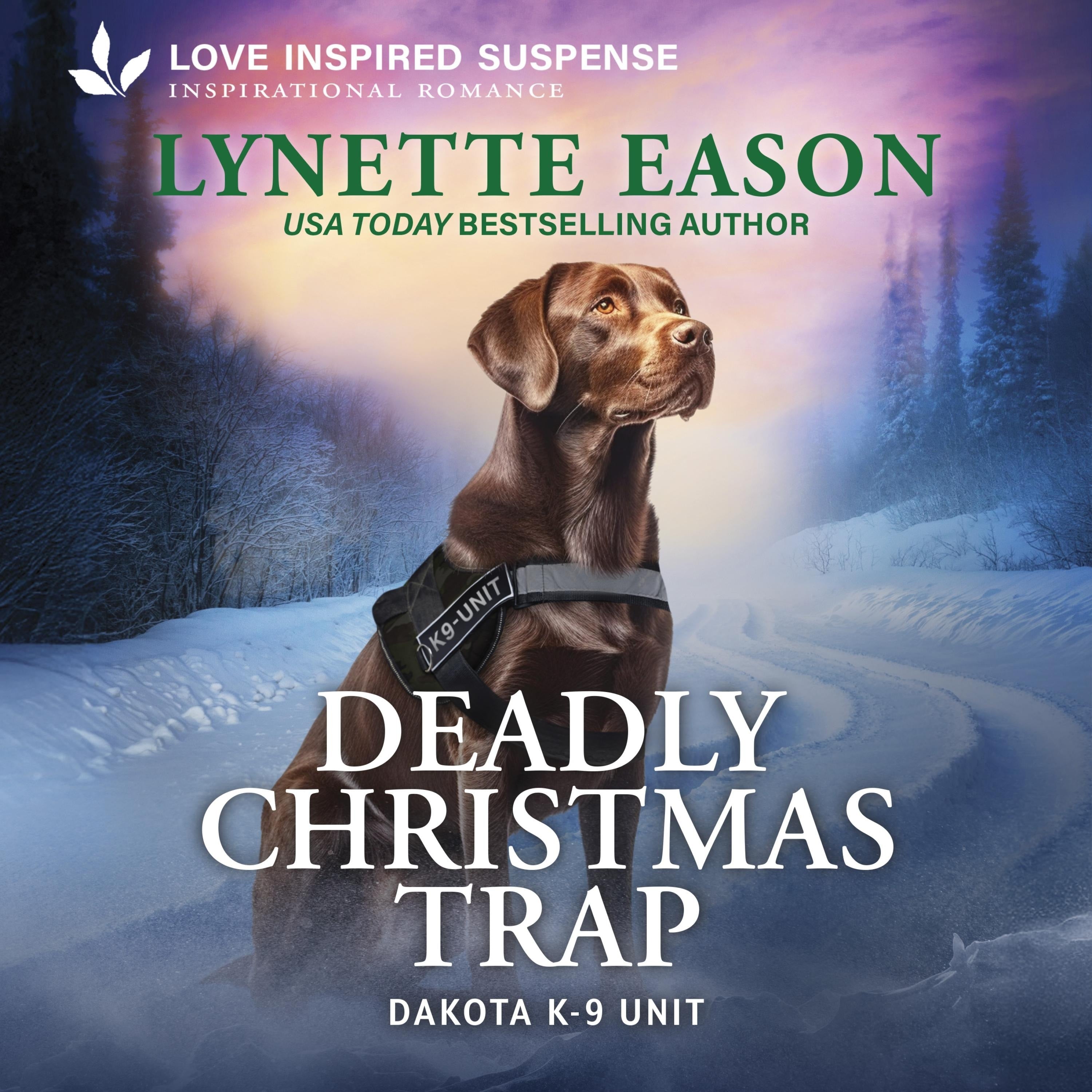 Deadly Christmas Trap