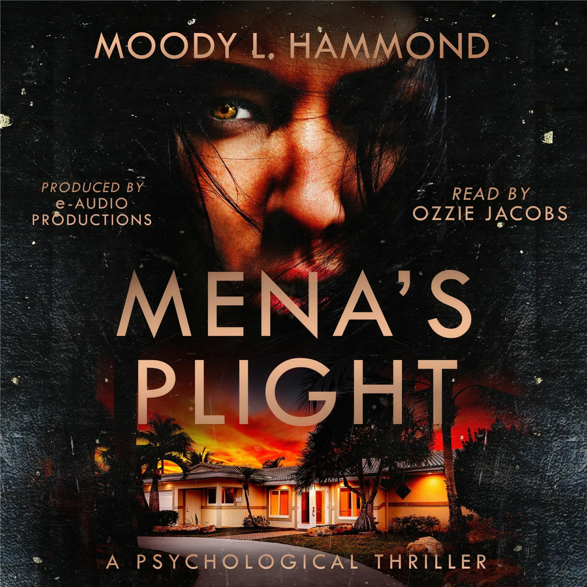 Mena's Plight