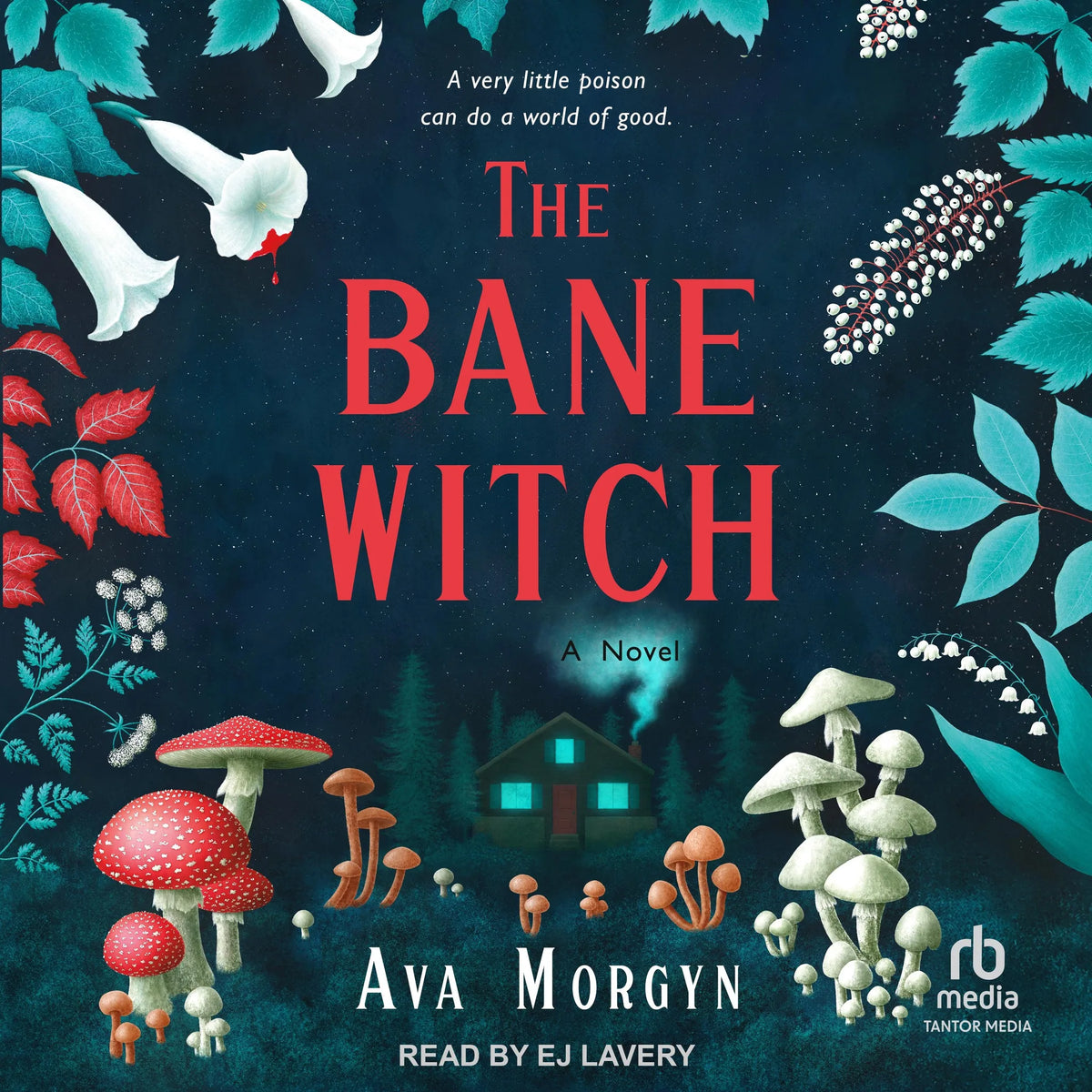 The Bane Witch