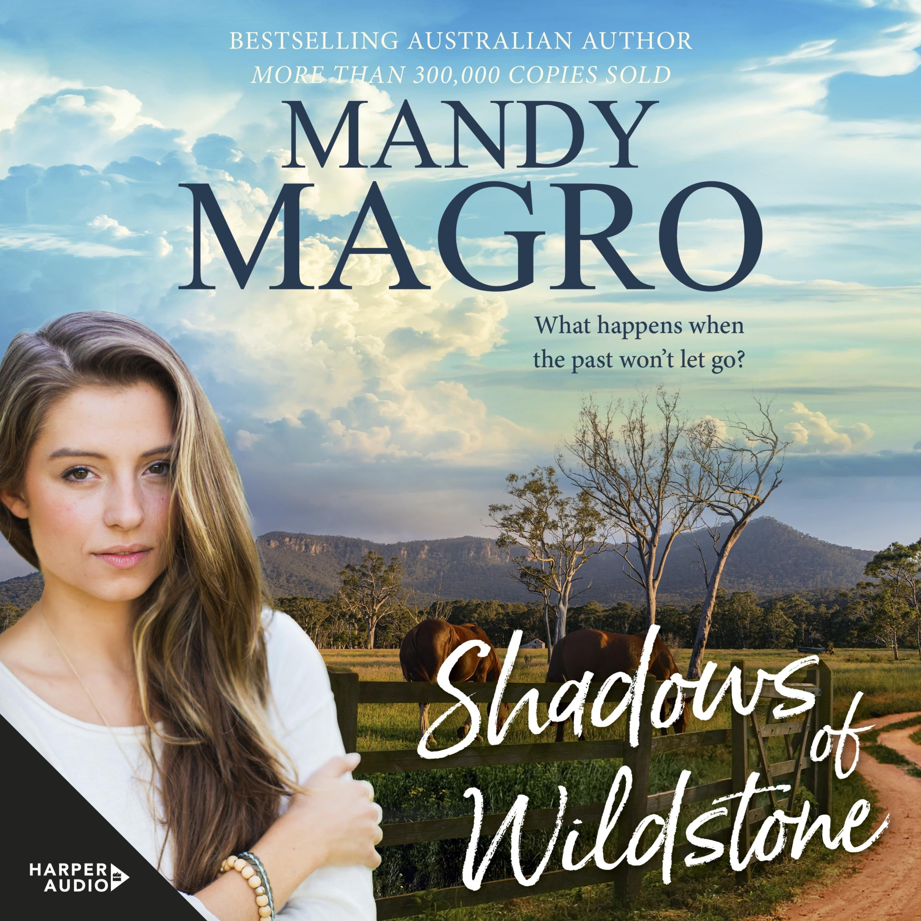 Shadows of Wildstone