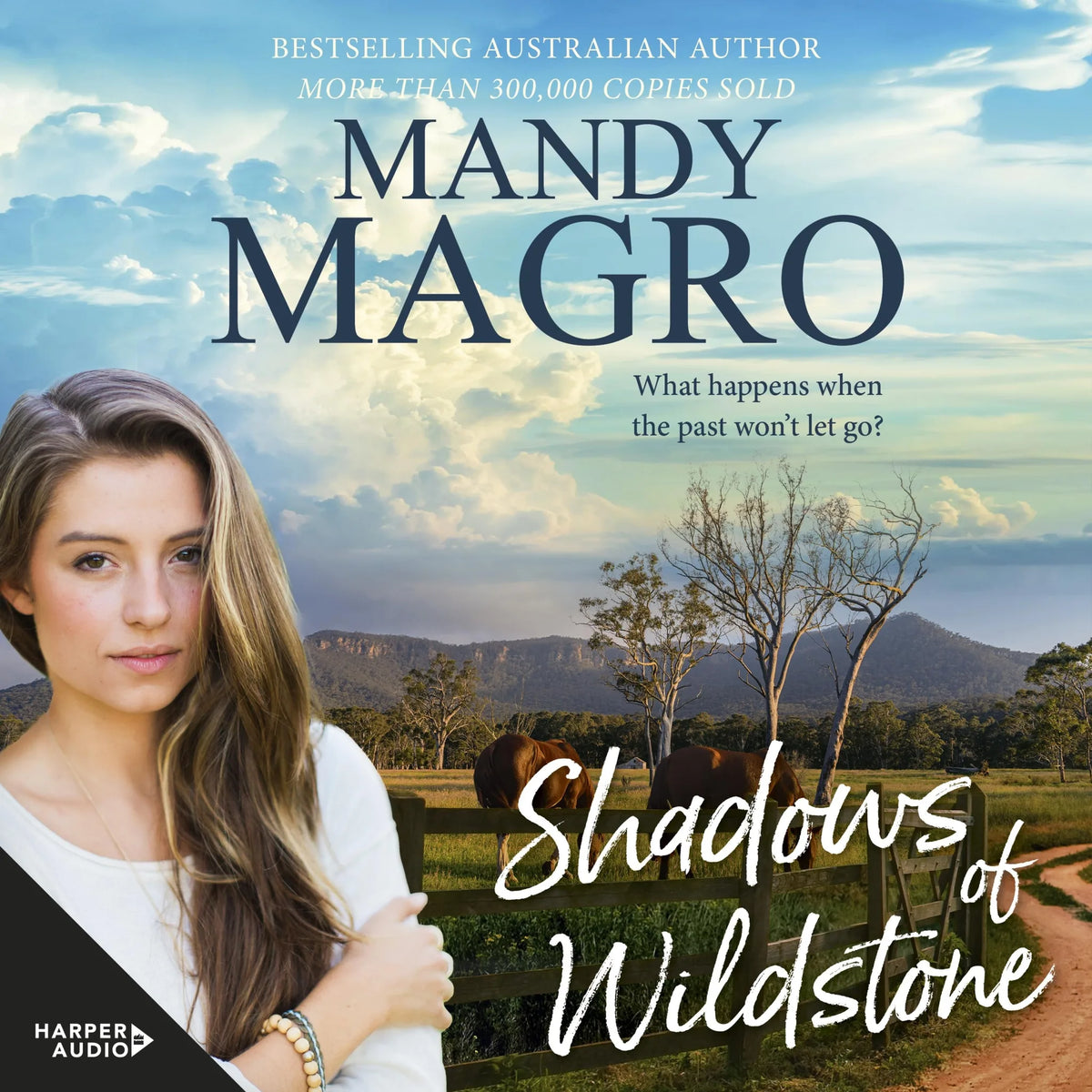 Shadows of Wildstone