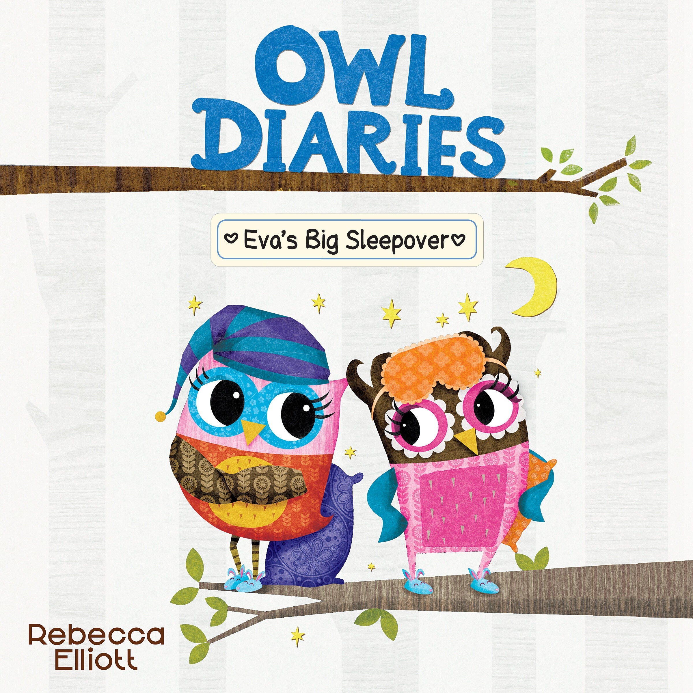 Eva's Big Sleepover: A Branches Book (Owl Diaries #9)