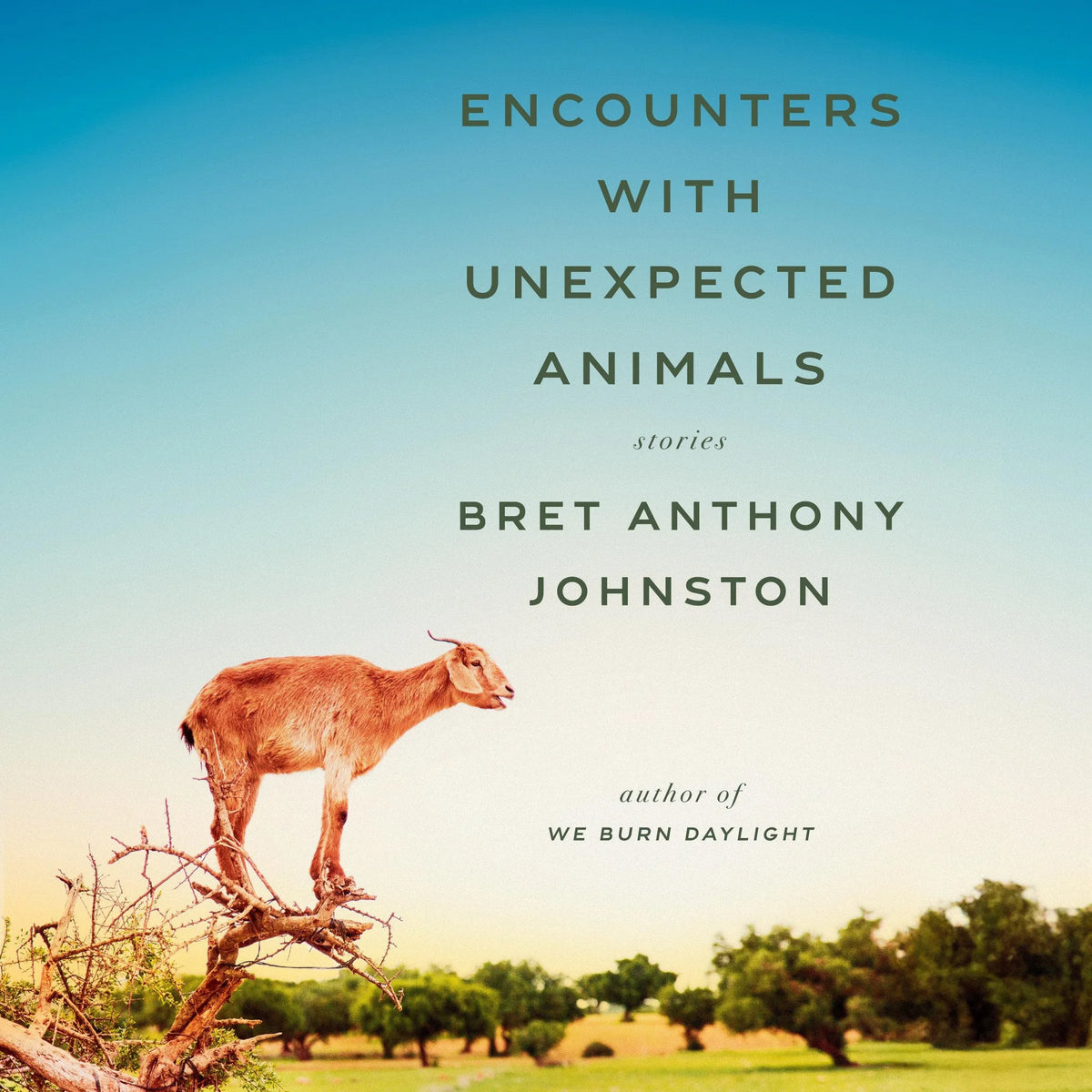 Encounters with Unexpected Animals