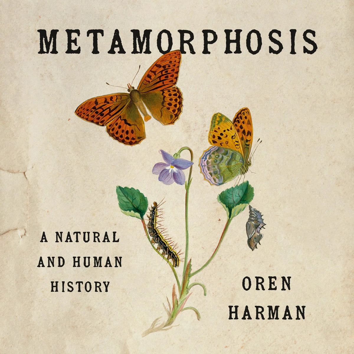 Metamorphosis