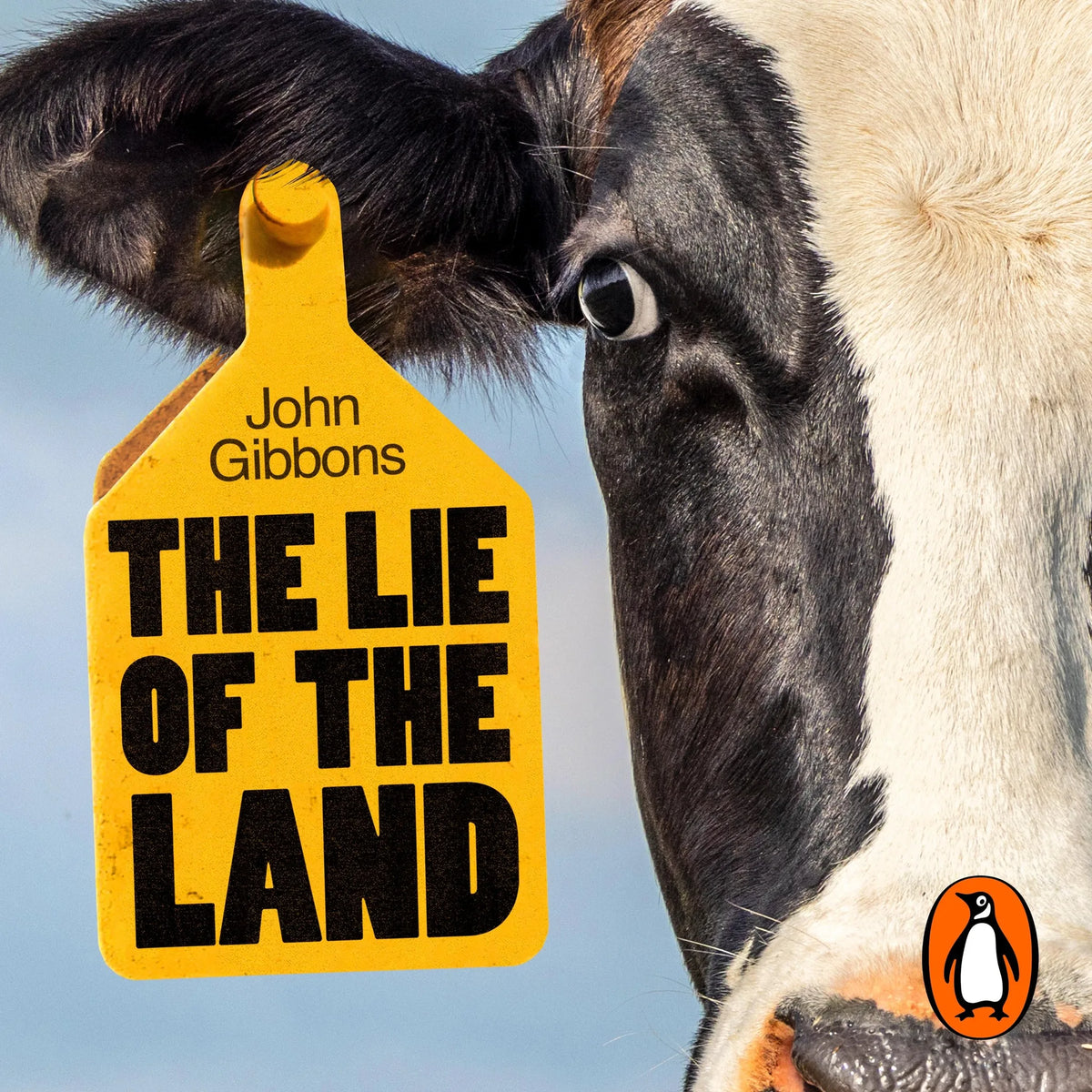 The Lie of the Land