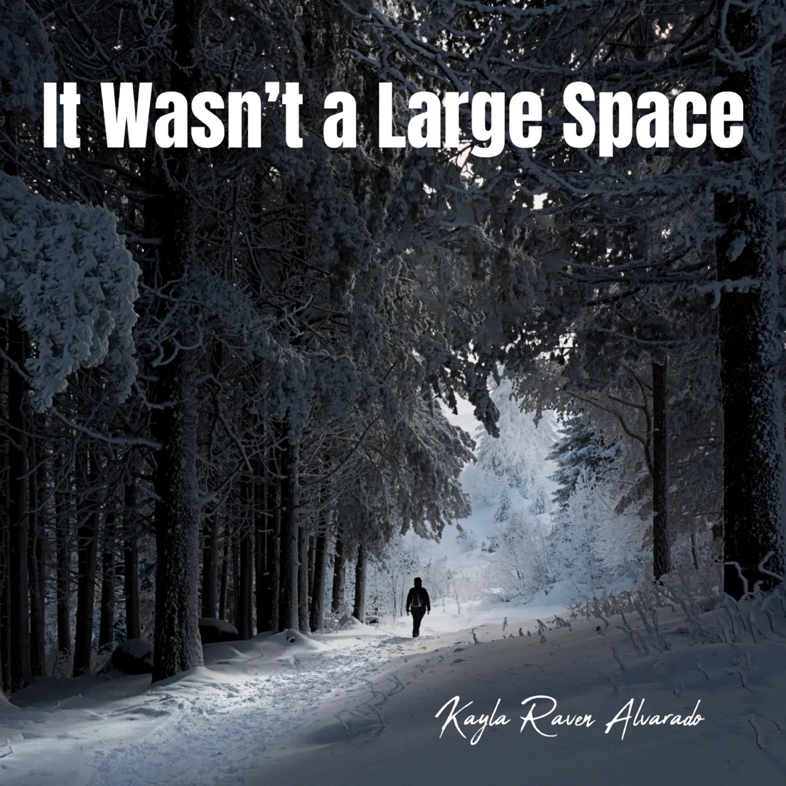It Wasn’t a Large Space
