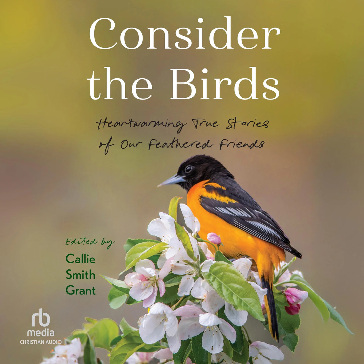 Consider the Birds
