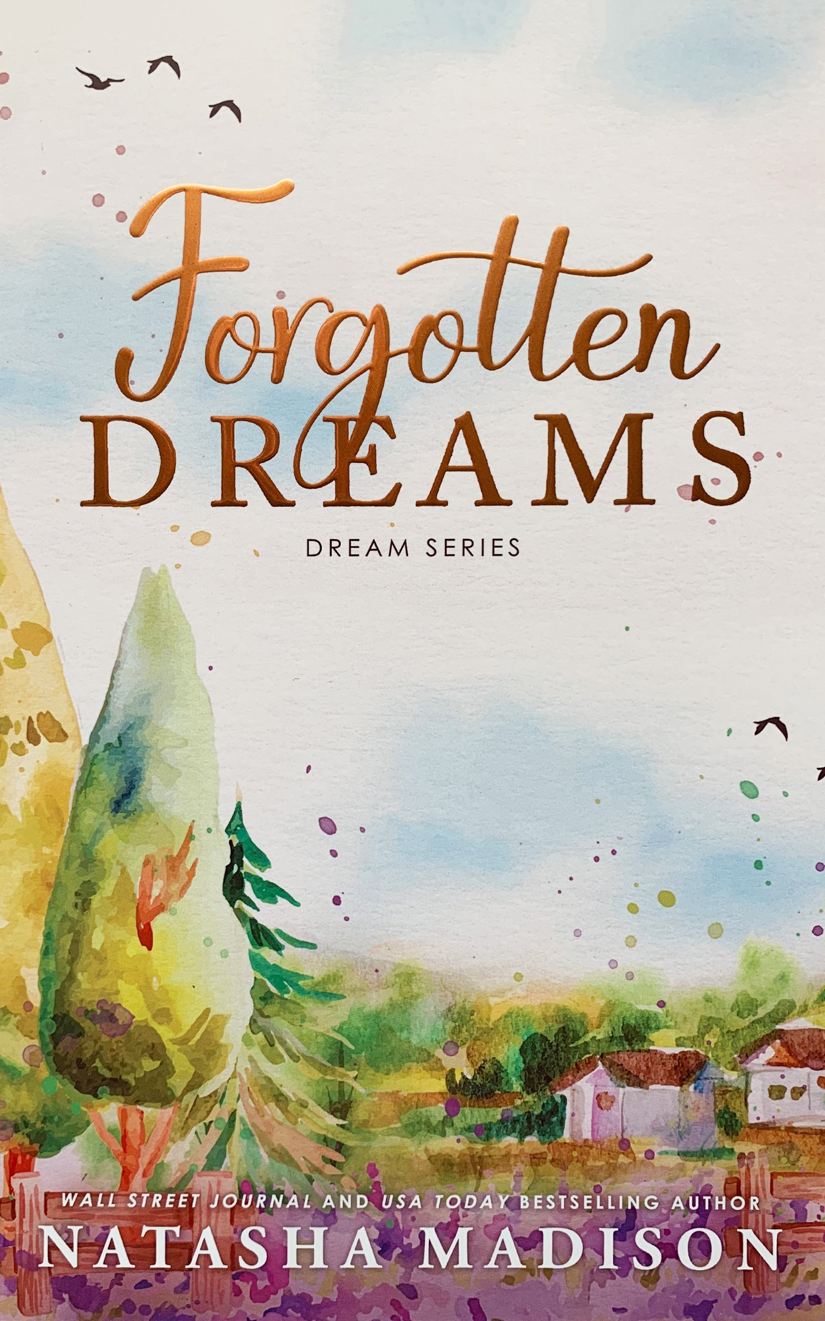 Forgotten Dreams