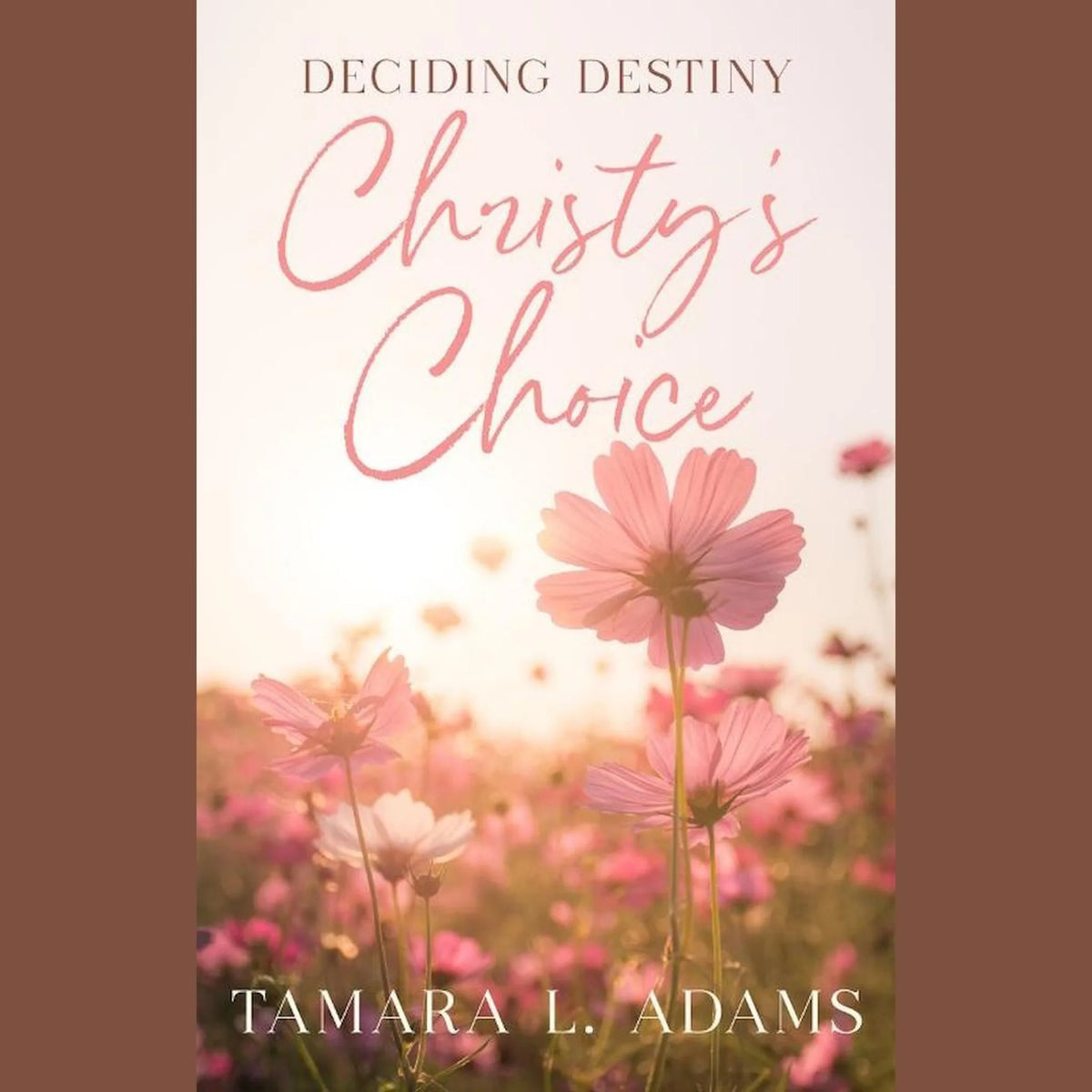 Deciding Destiny: Christy's Choice