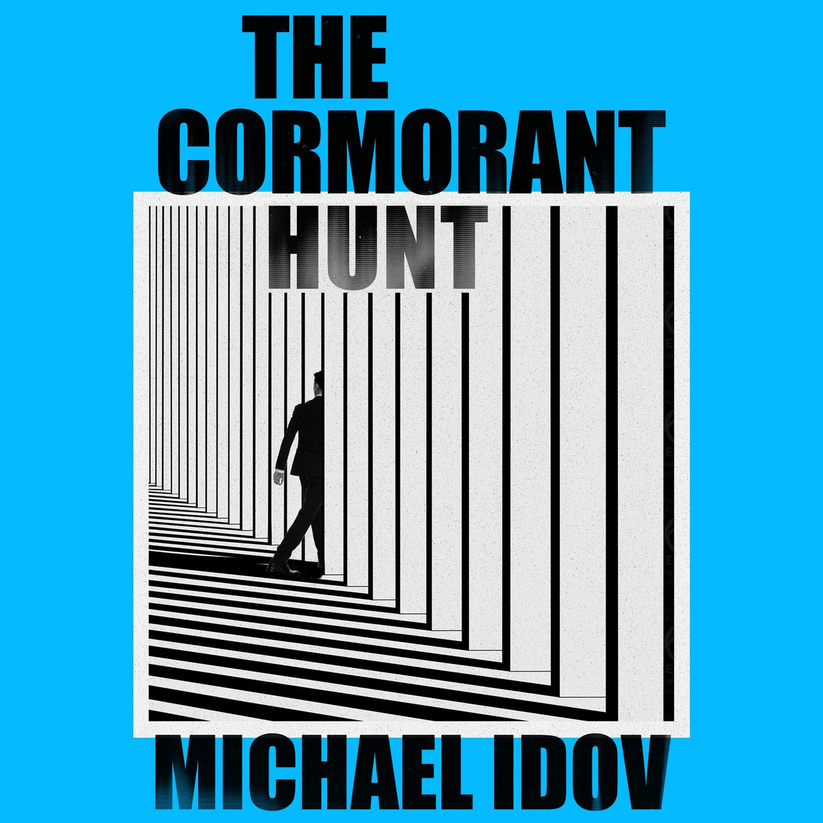 The Cormorant Hunt