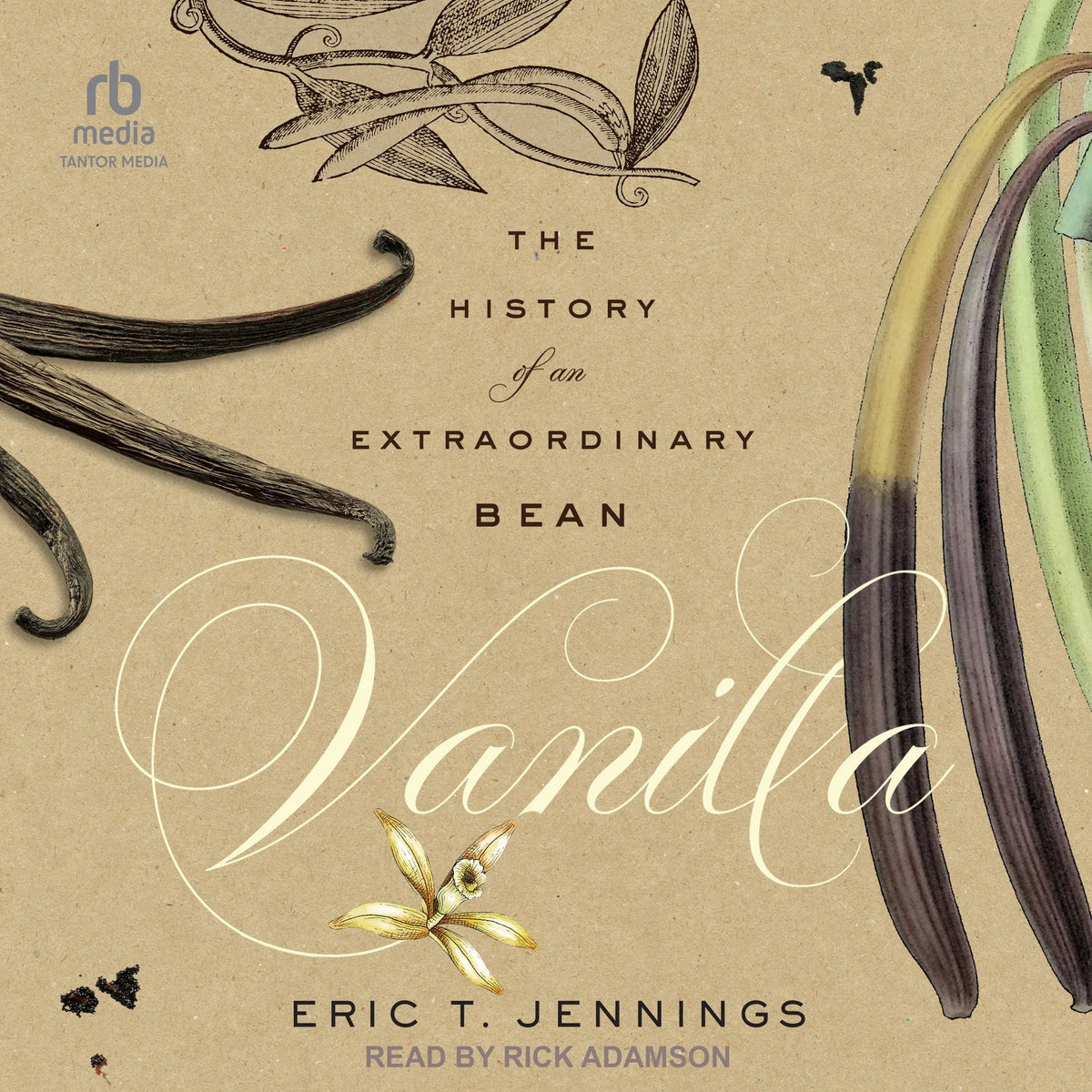 Vanilla