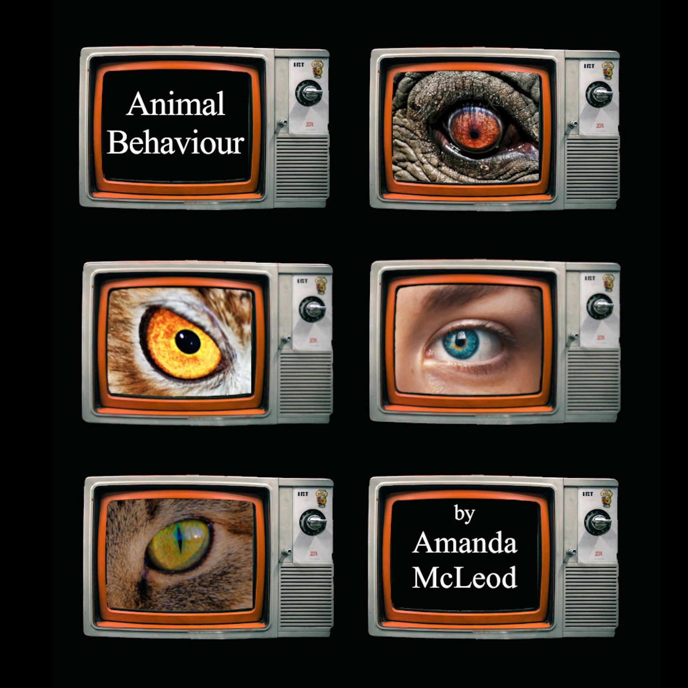Animal Behaviour
