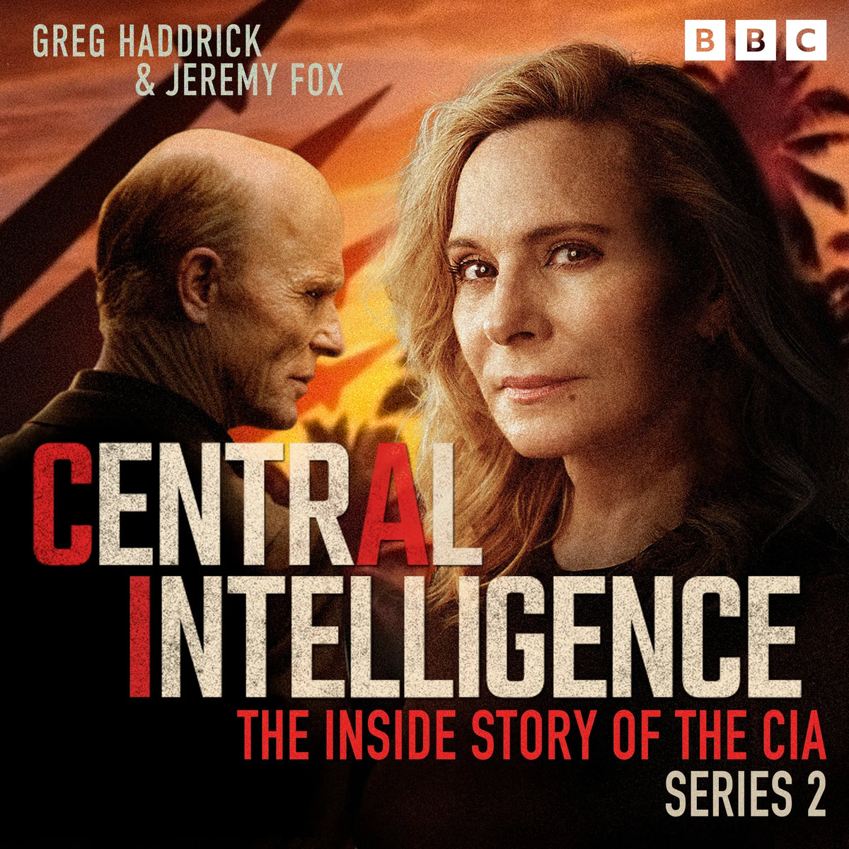 Central Intelligence: Series 2