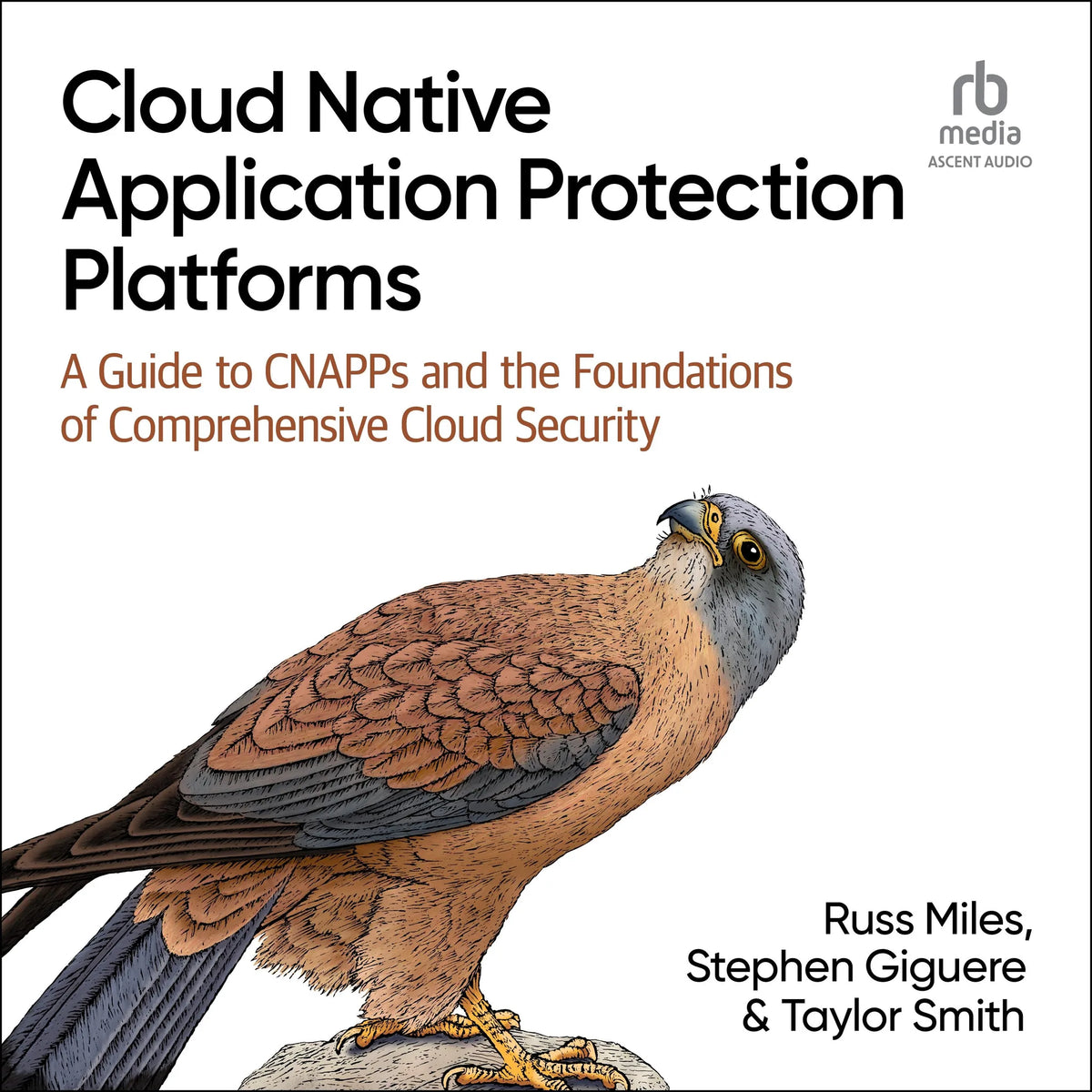Cloud Native Application Protection Platforms