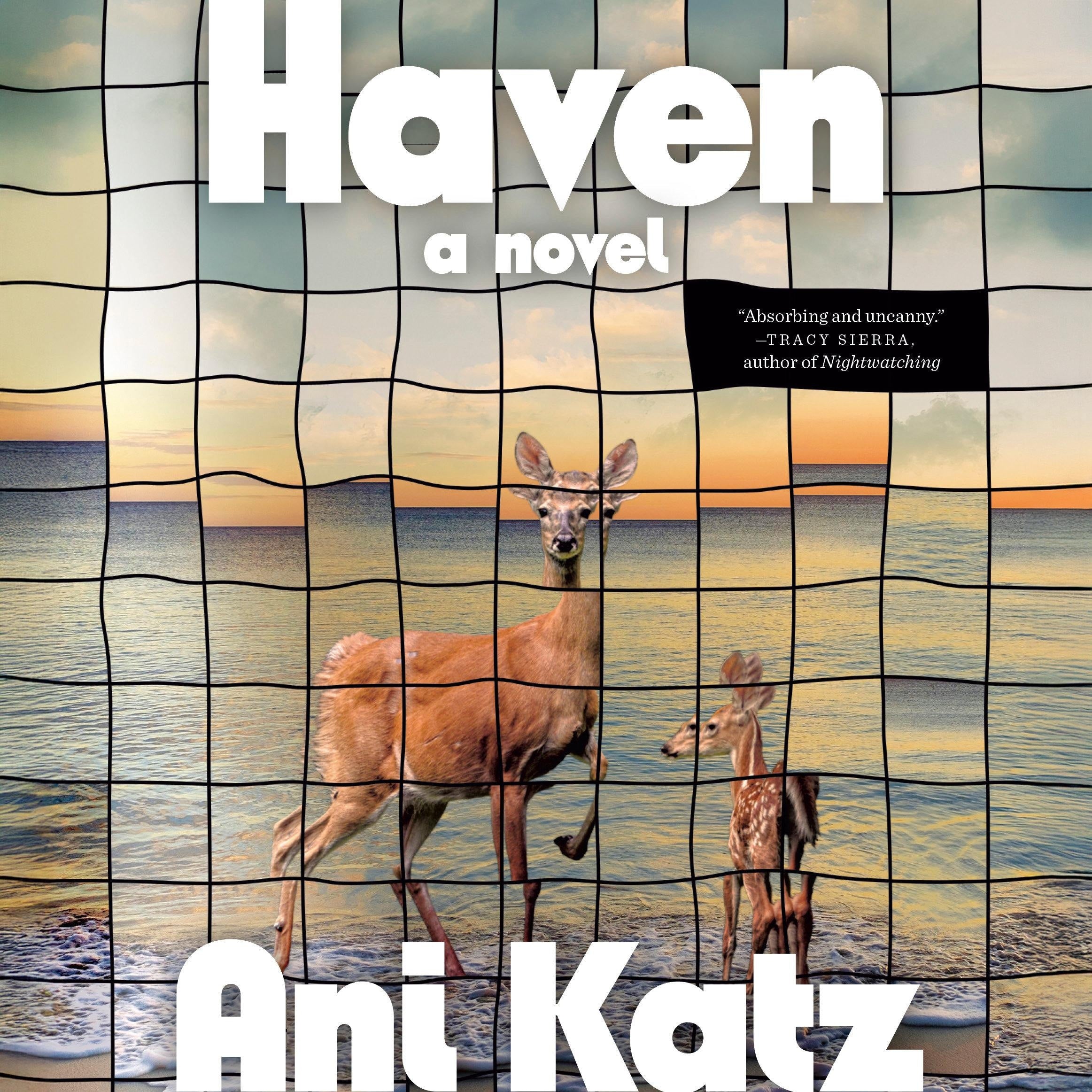 Haven