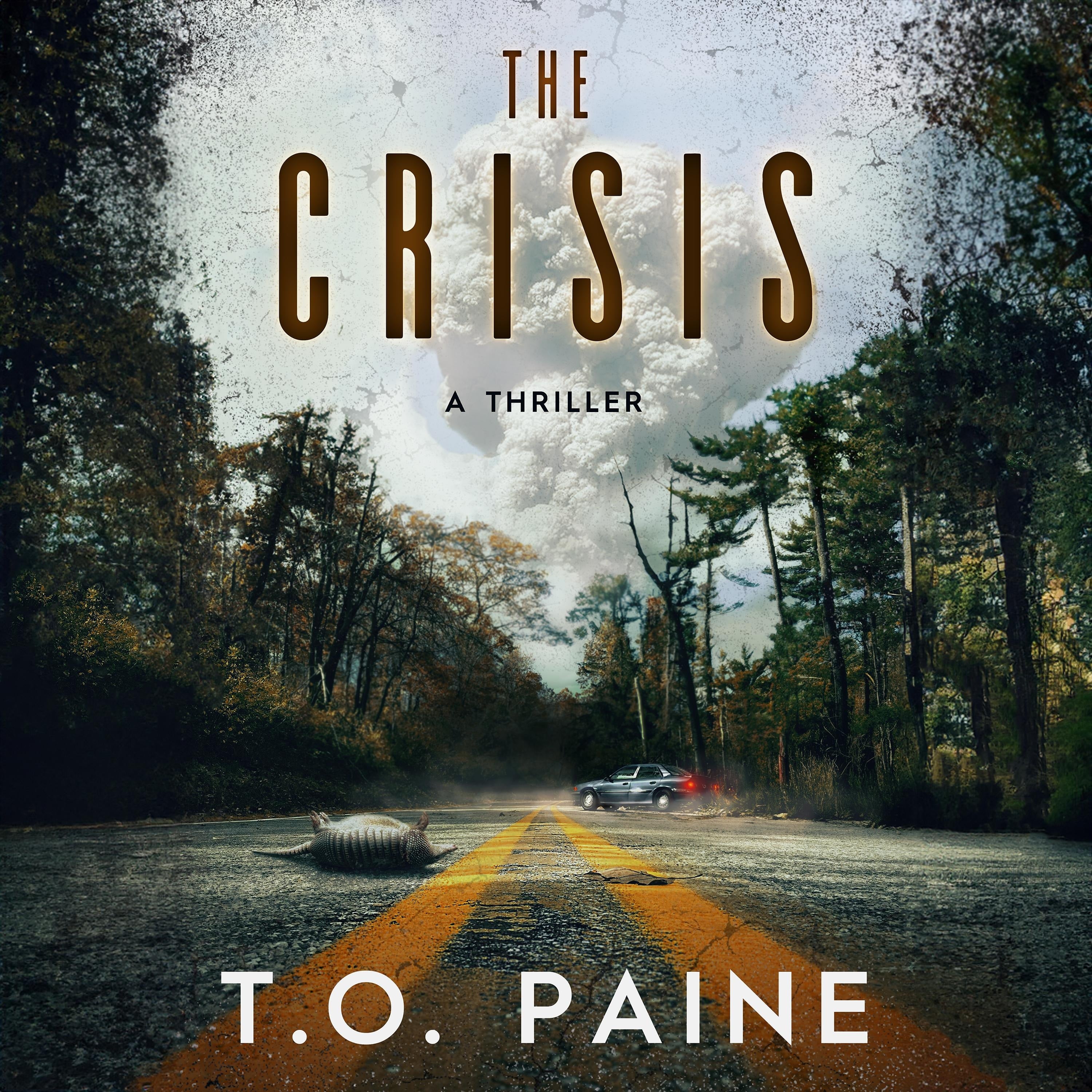 The Crisis