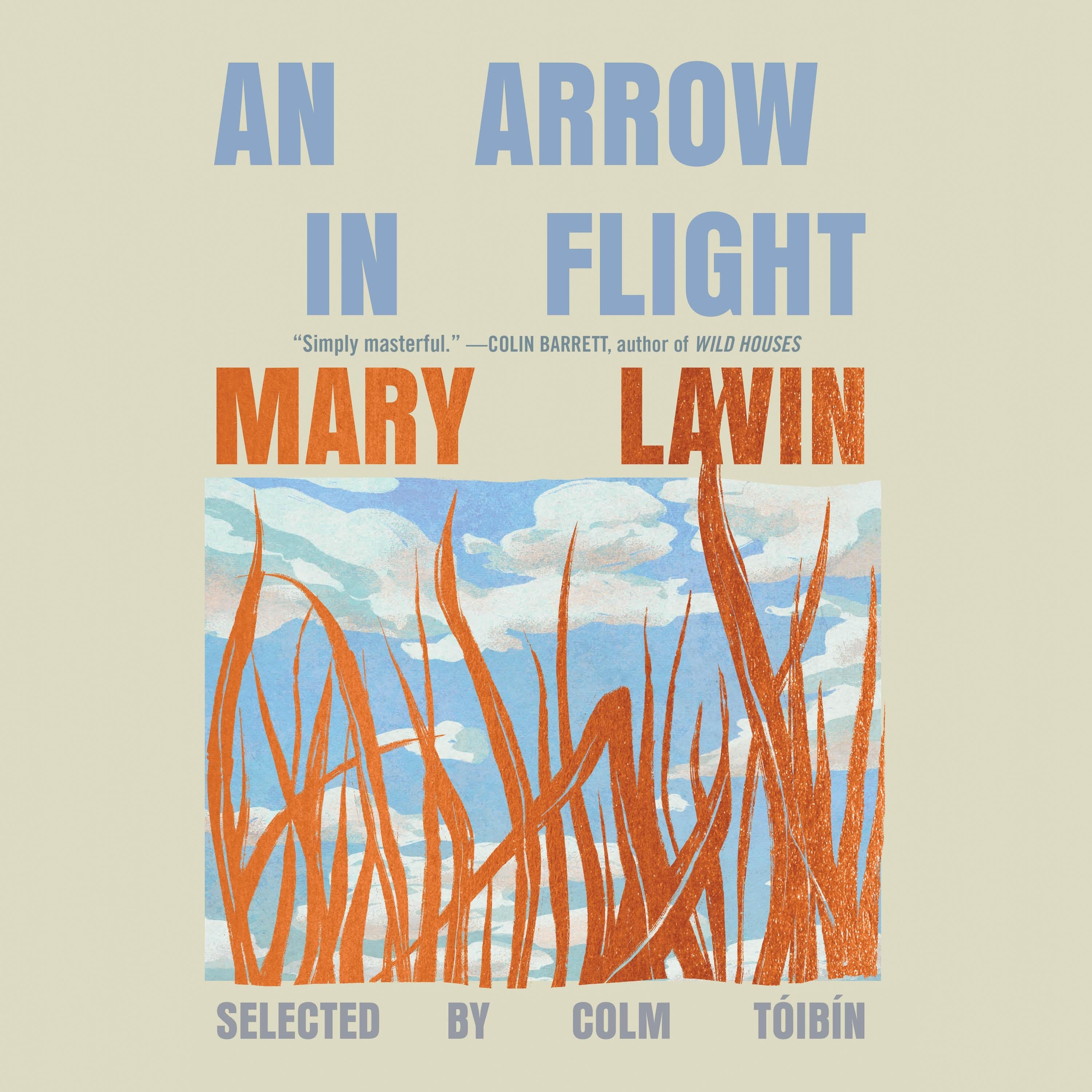 An Arrow in Flight