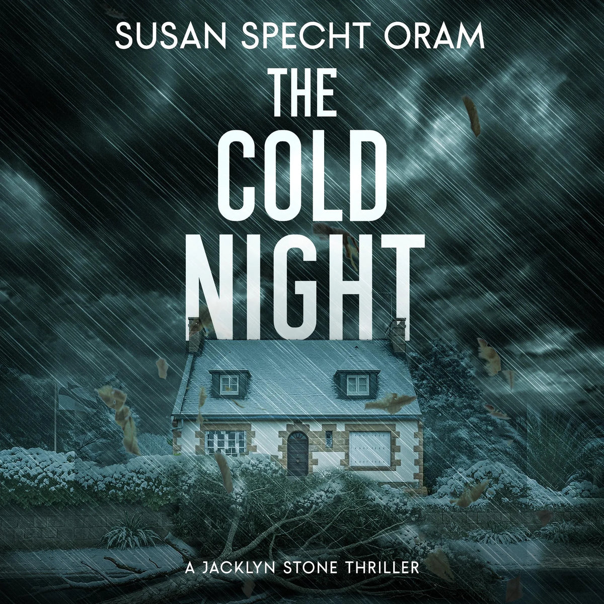 Cold Night, The
