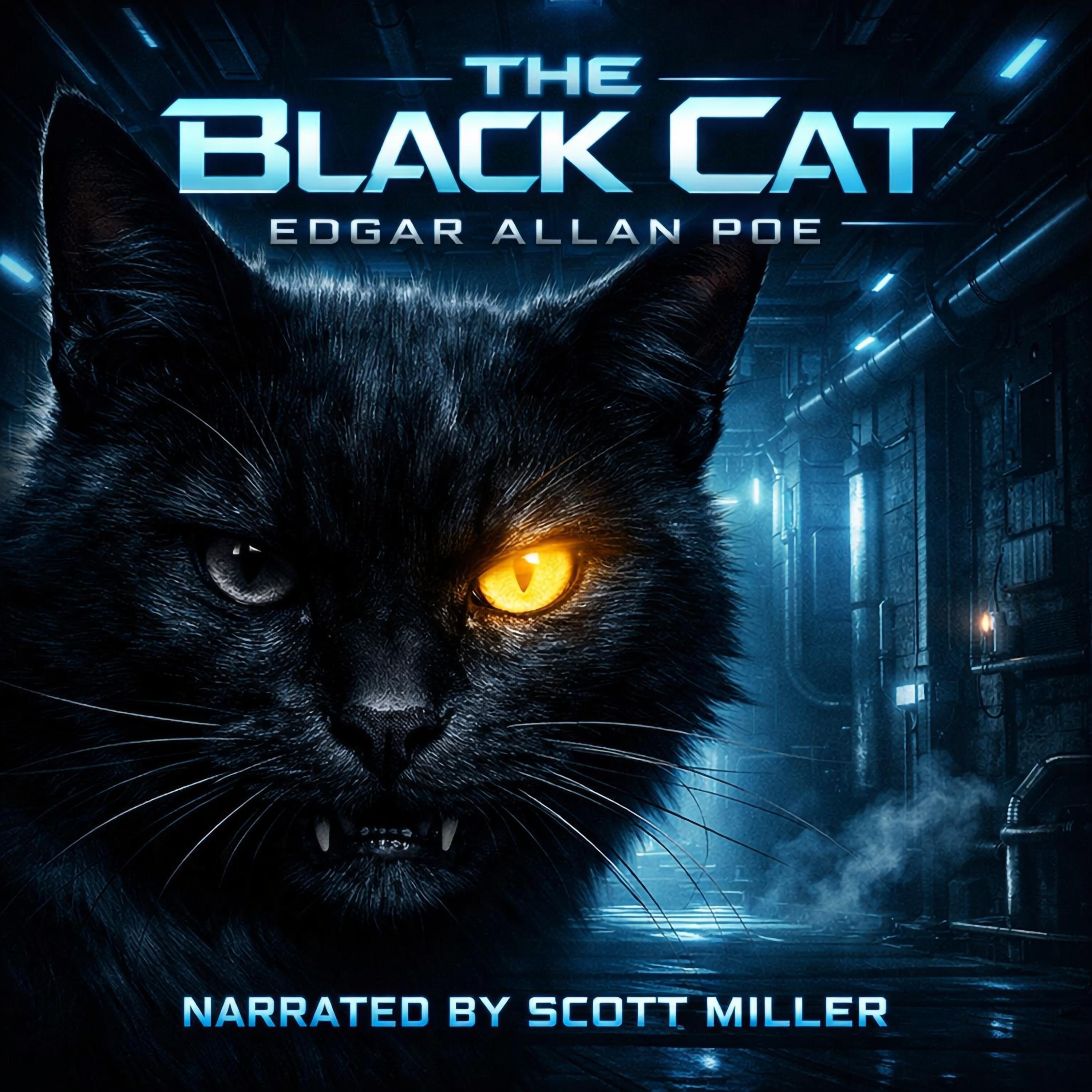 The Black Cat