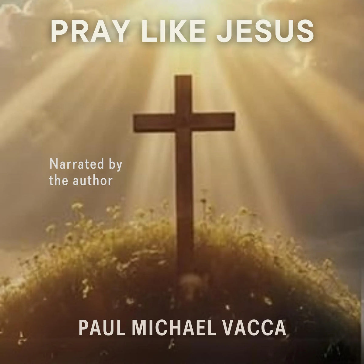 Pray Like Jesus