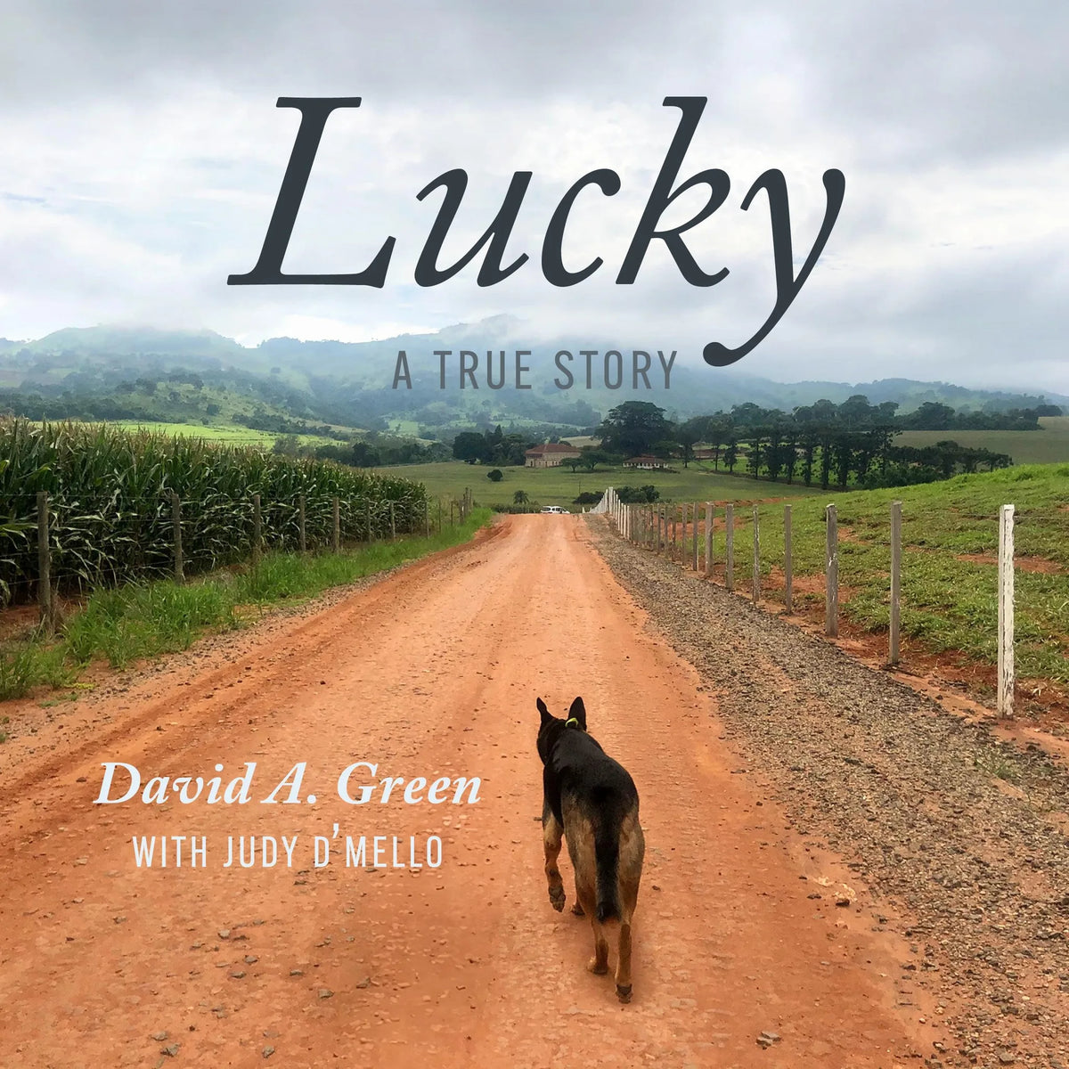 Lucky: A True Story