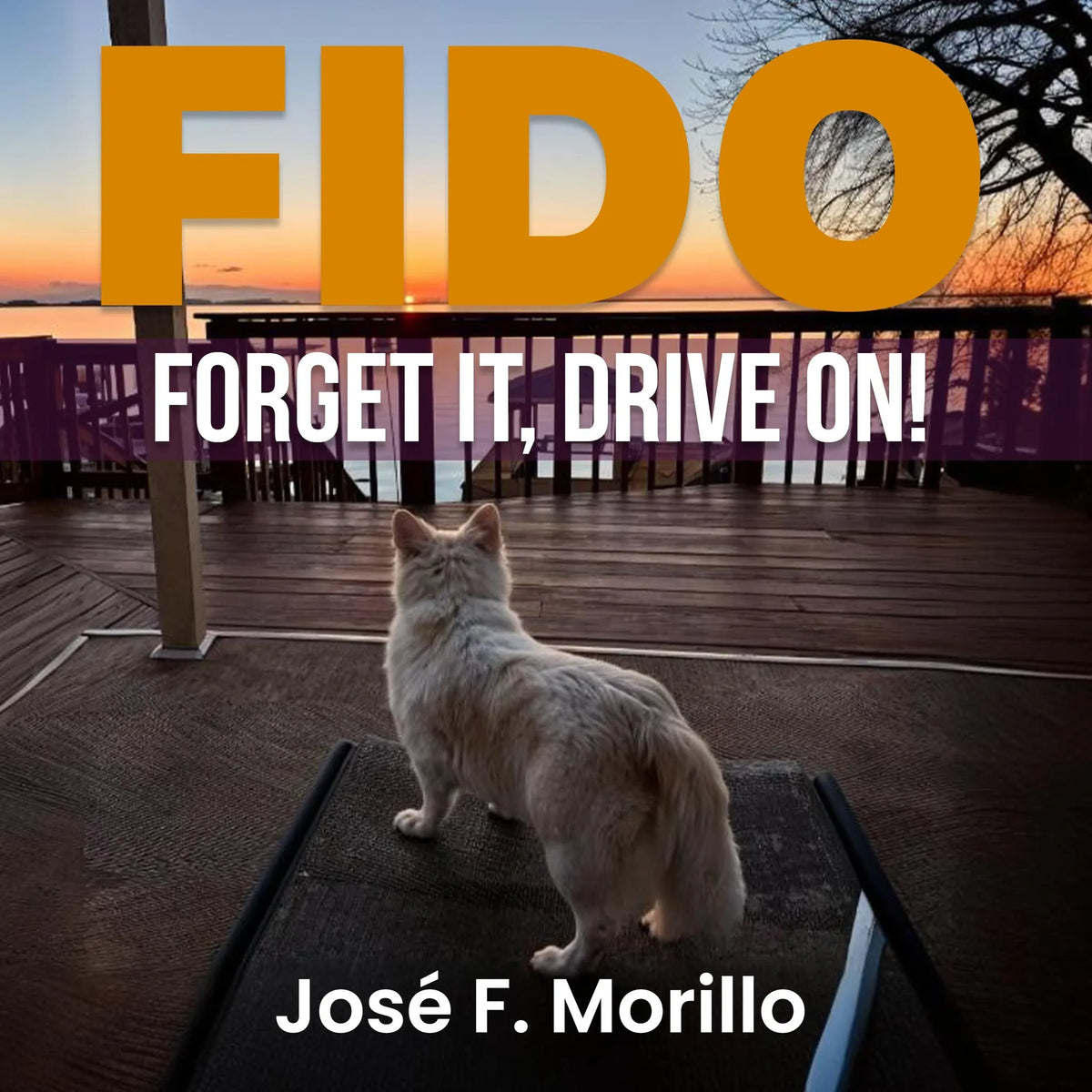 FIDO: FORGET IT, DRIVE ON!