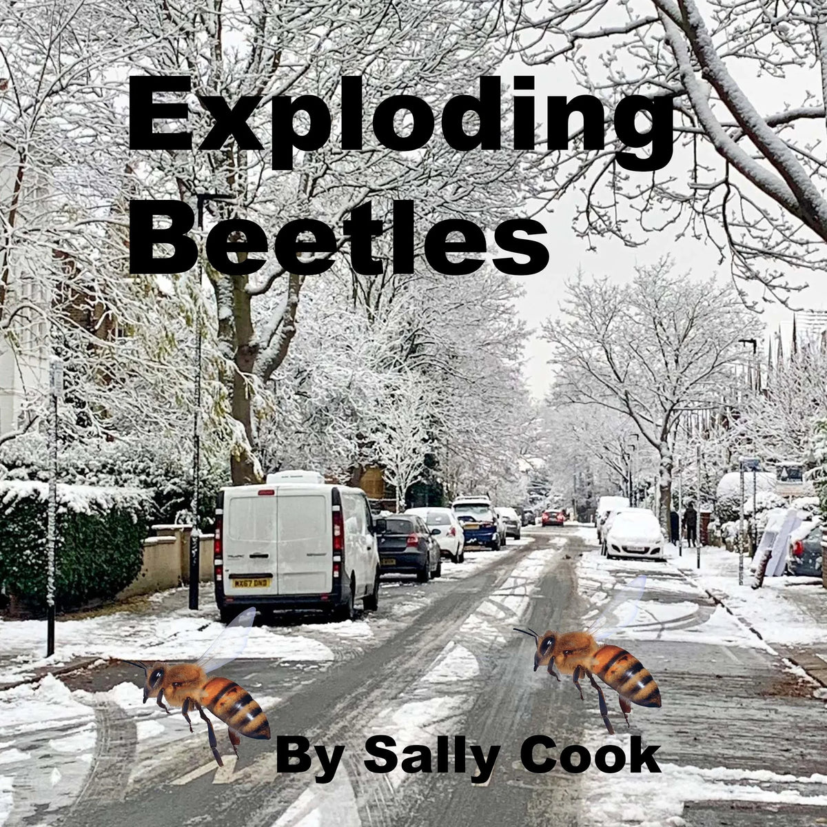Exploding Beetles