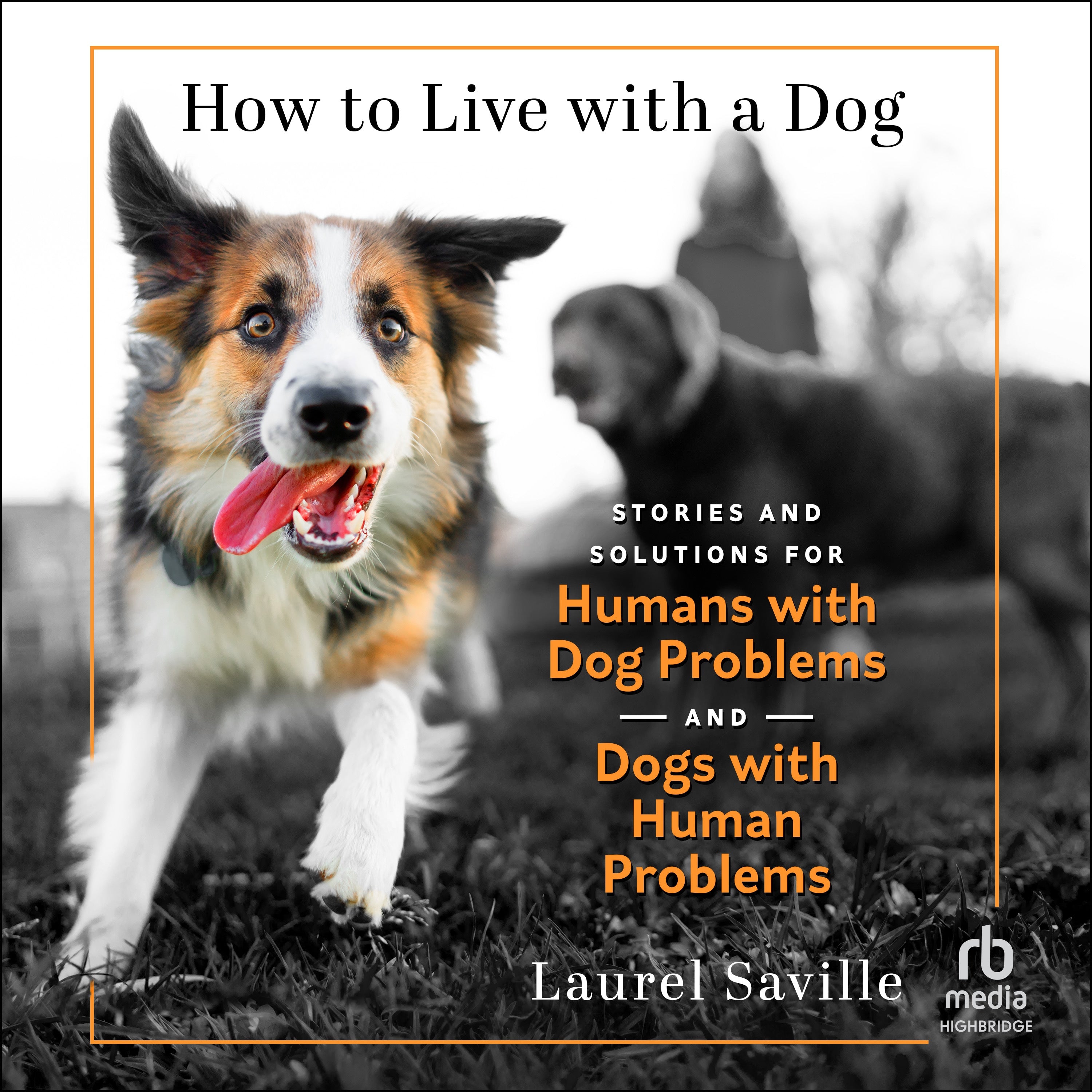 How to Live with a Dog