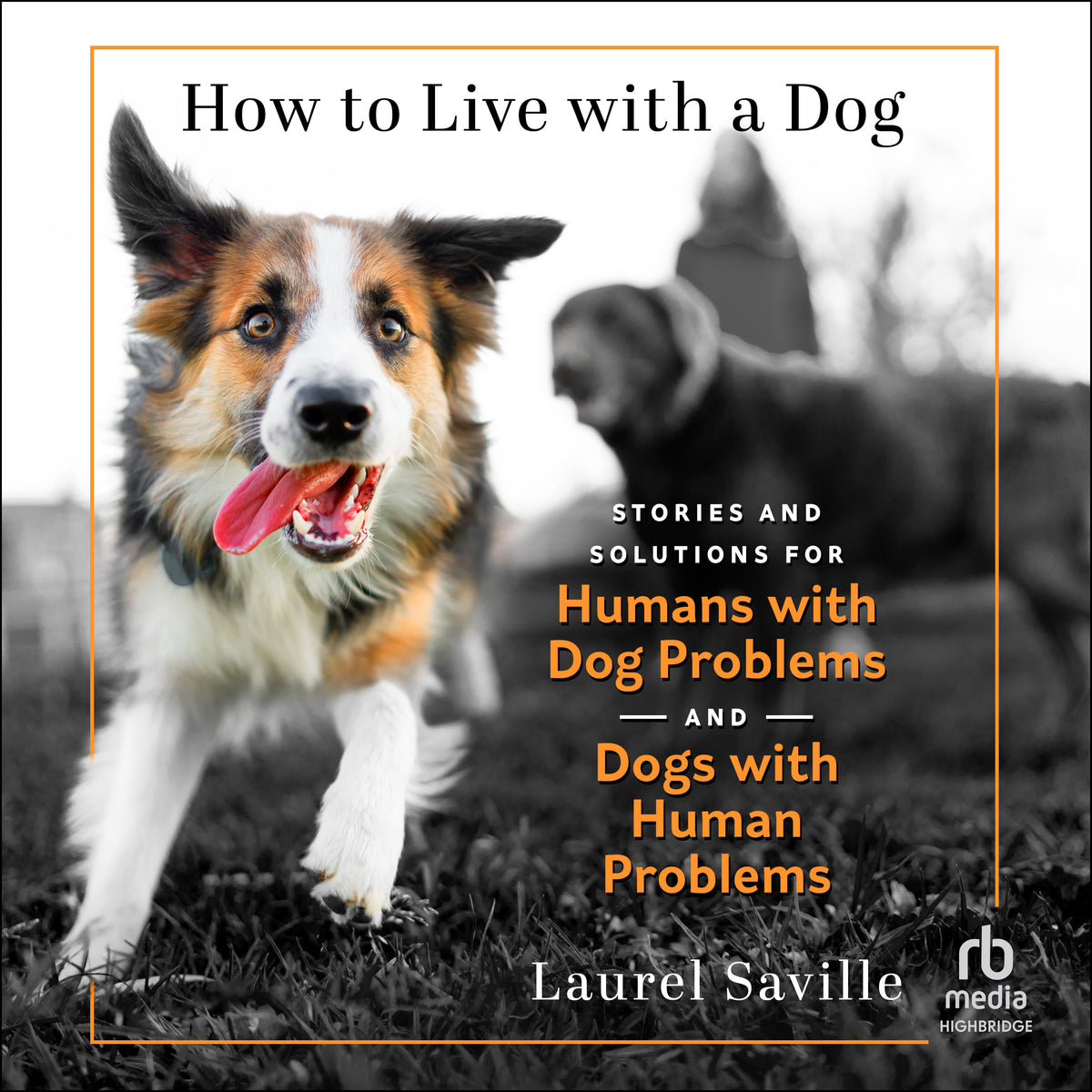 How to Live with a Dog