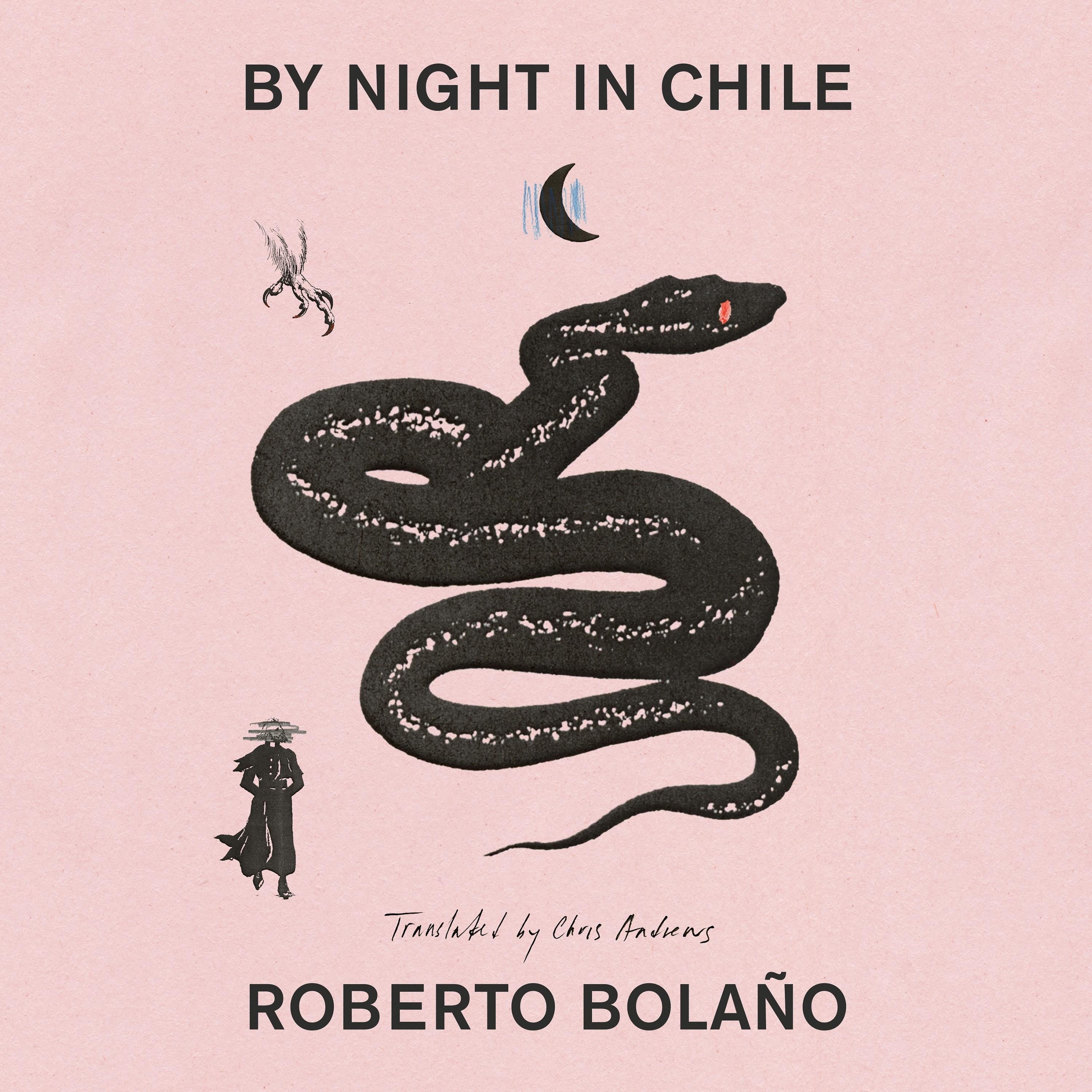By Night in Chile