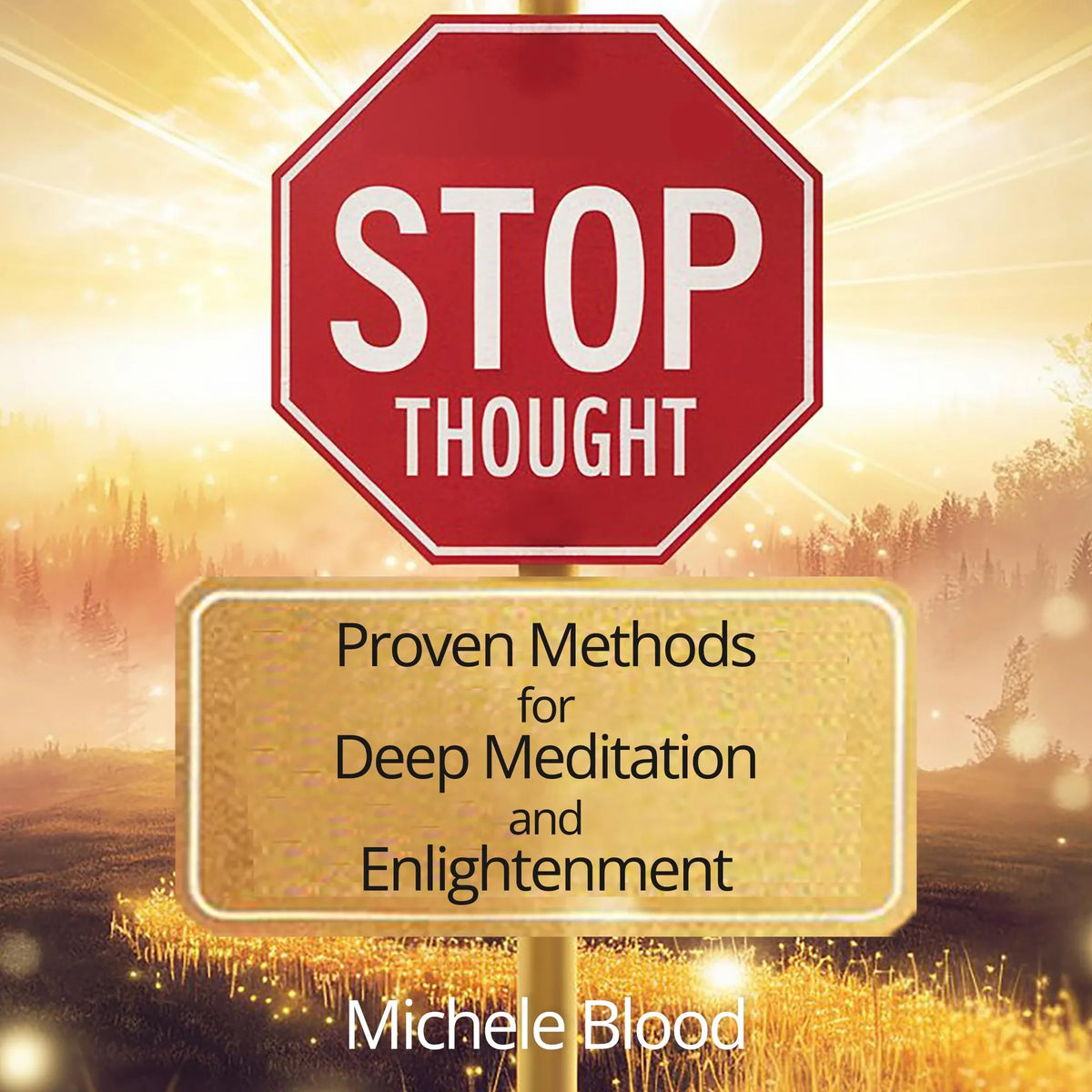 Stop Thought - Proven Methods for Deep Meditation and Enlightenment