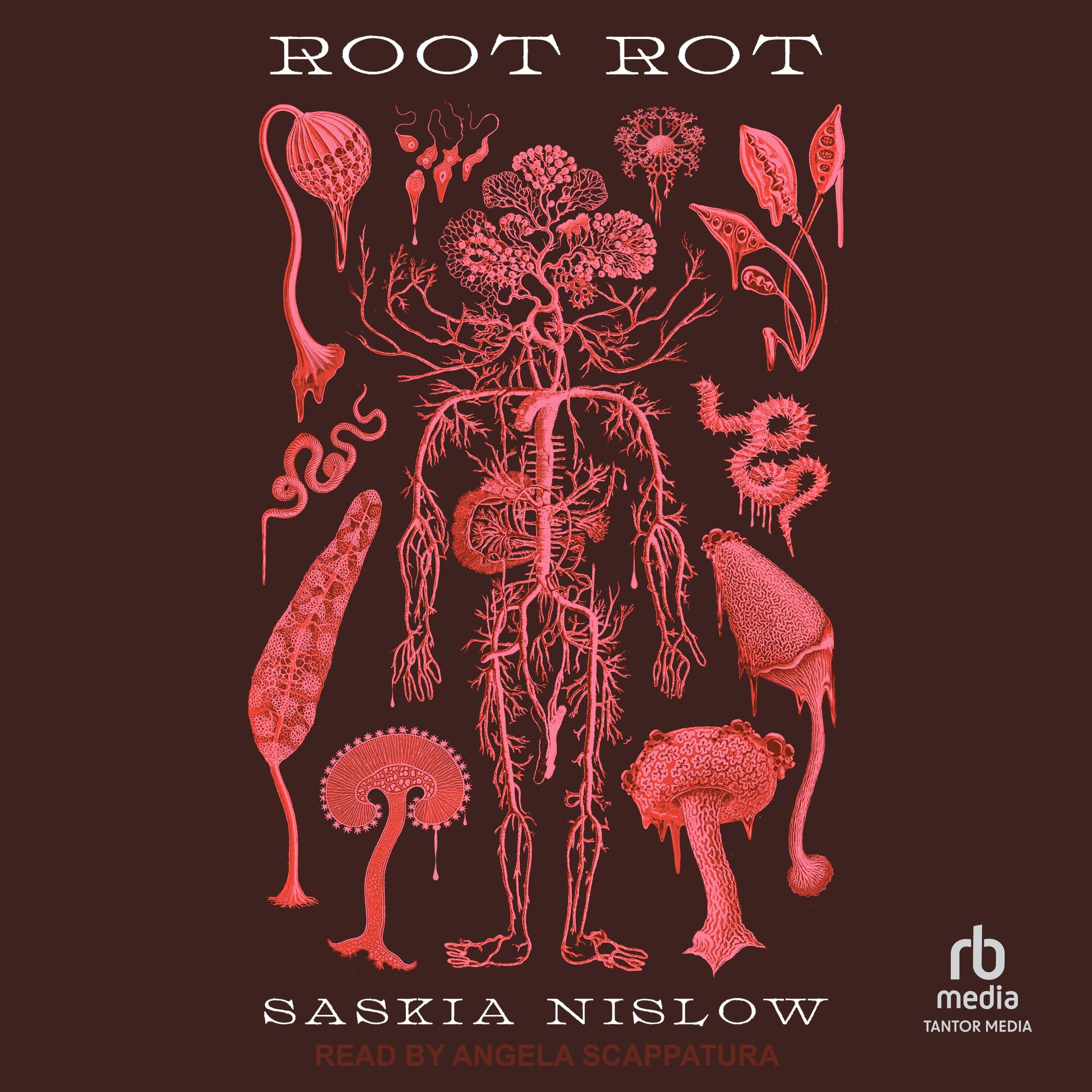 Root Rot