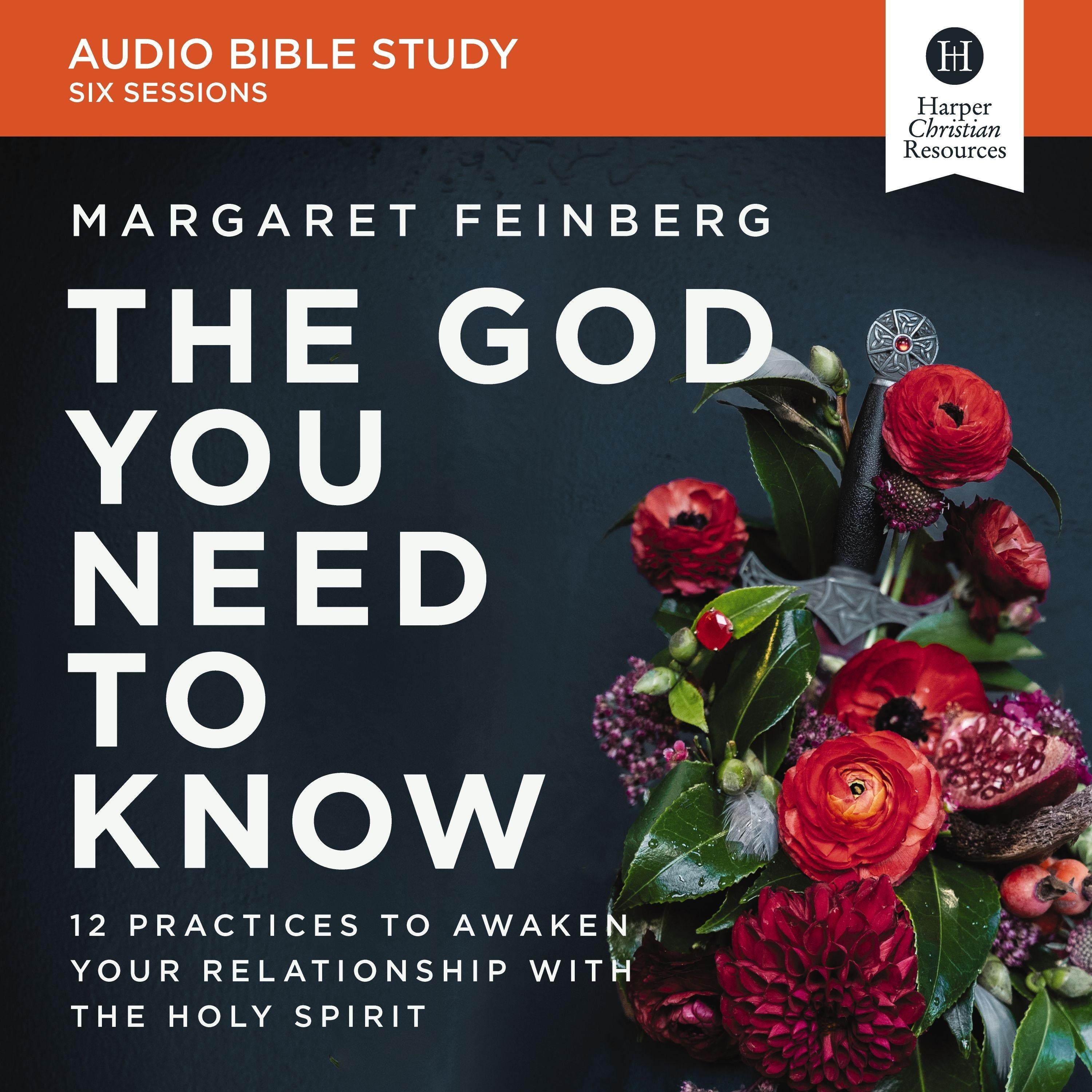 The God You Need to Know Bible Study: Audio