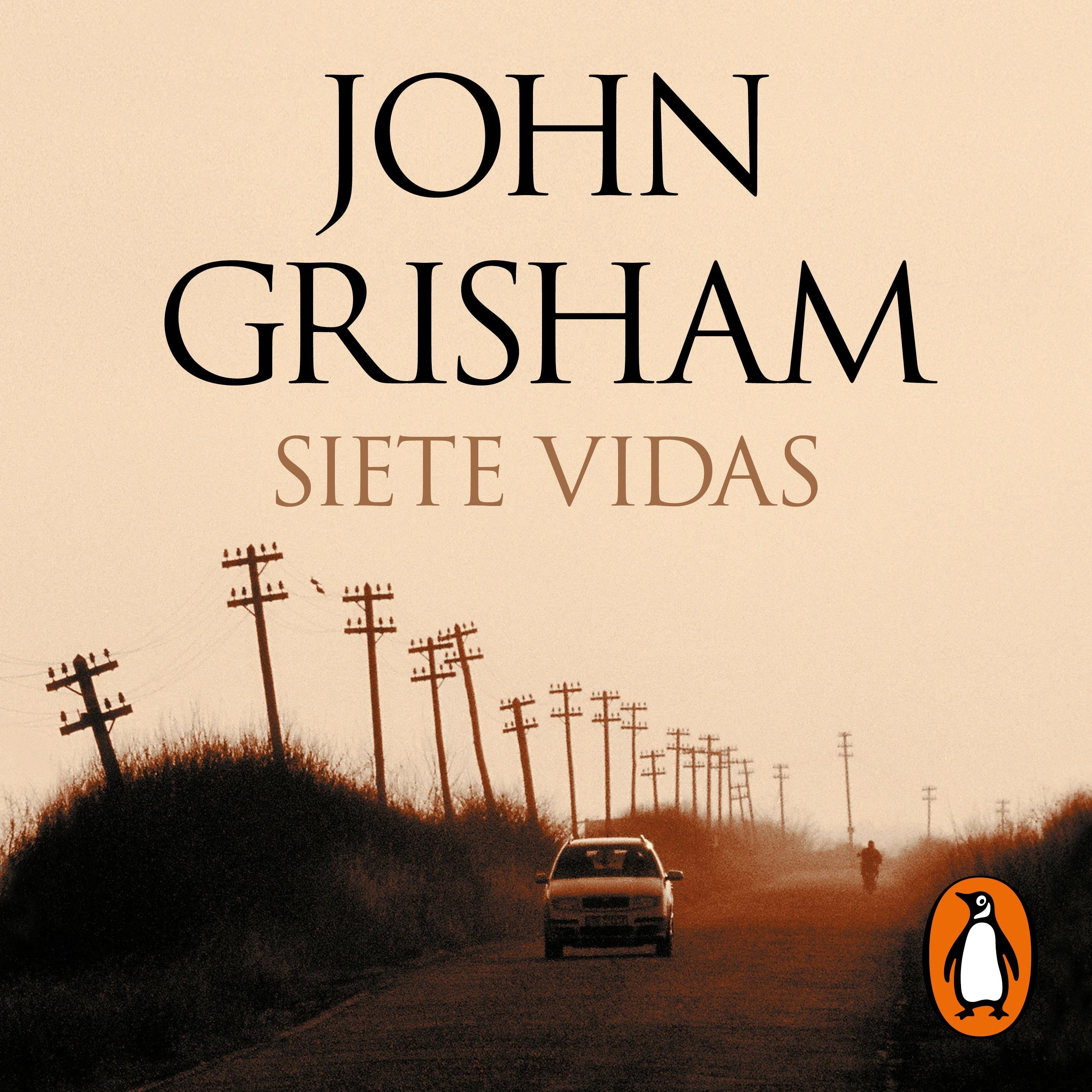 Siete vidas