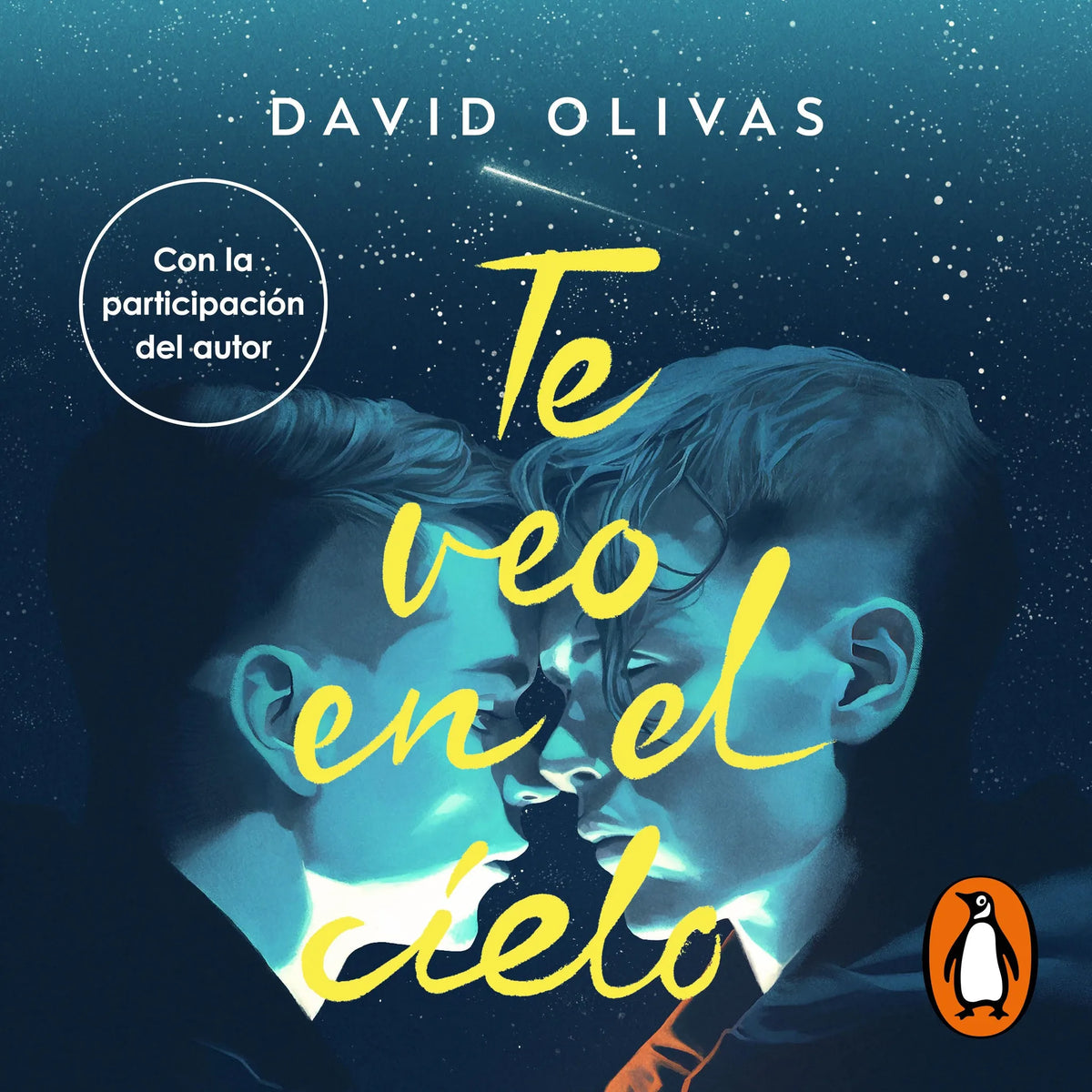 Te veo en el cielo