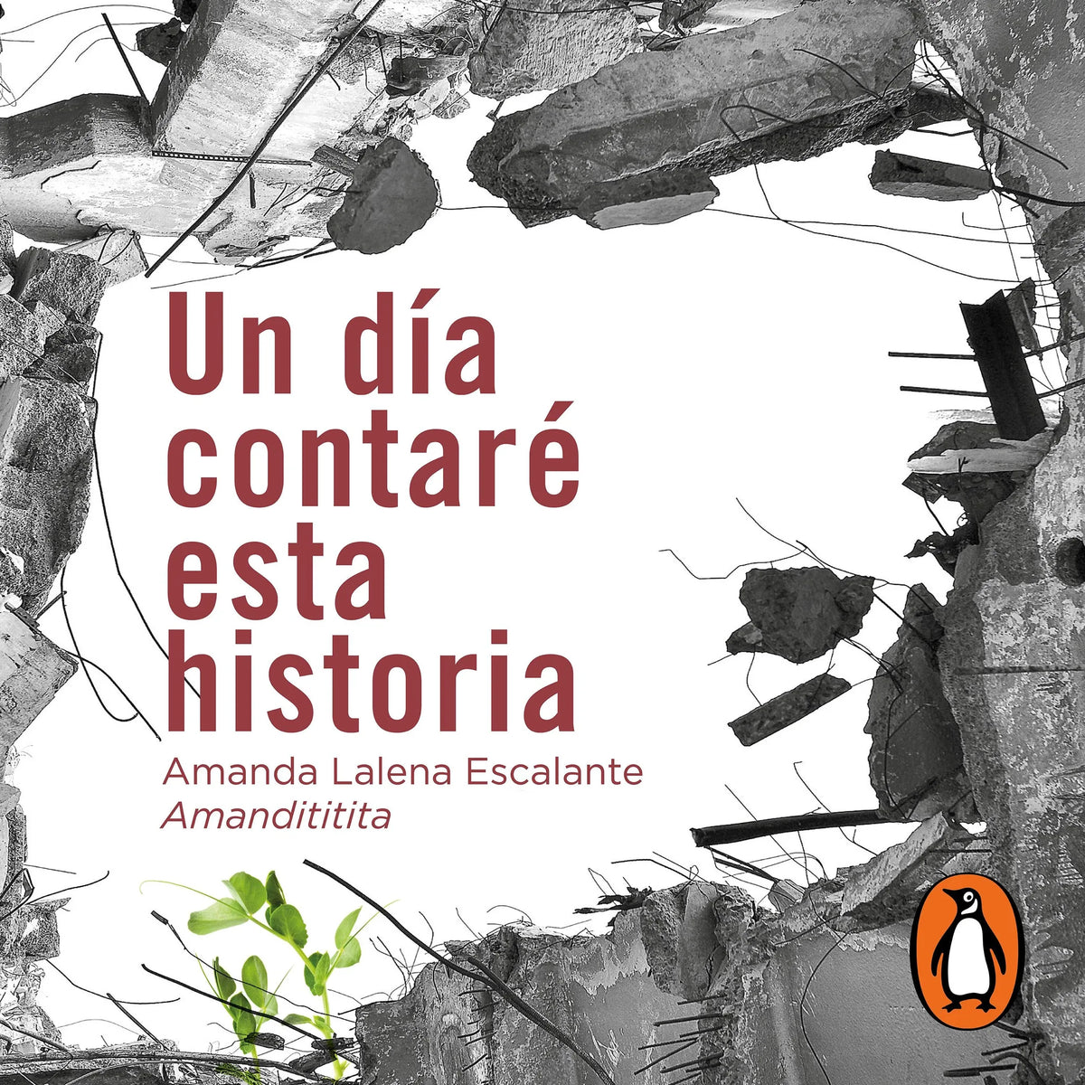 Un día contaré esta historia