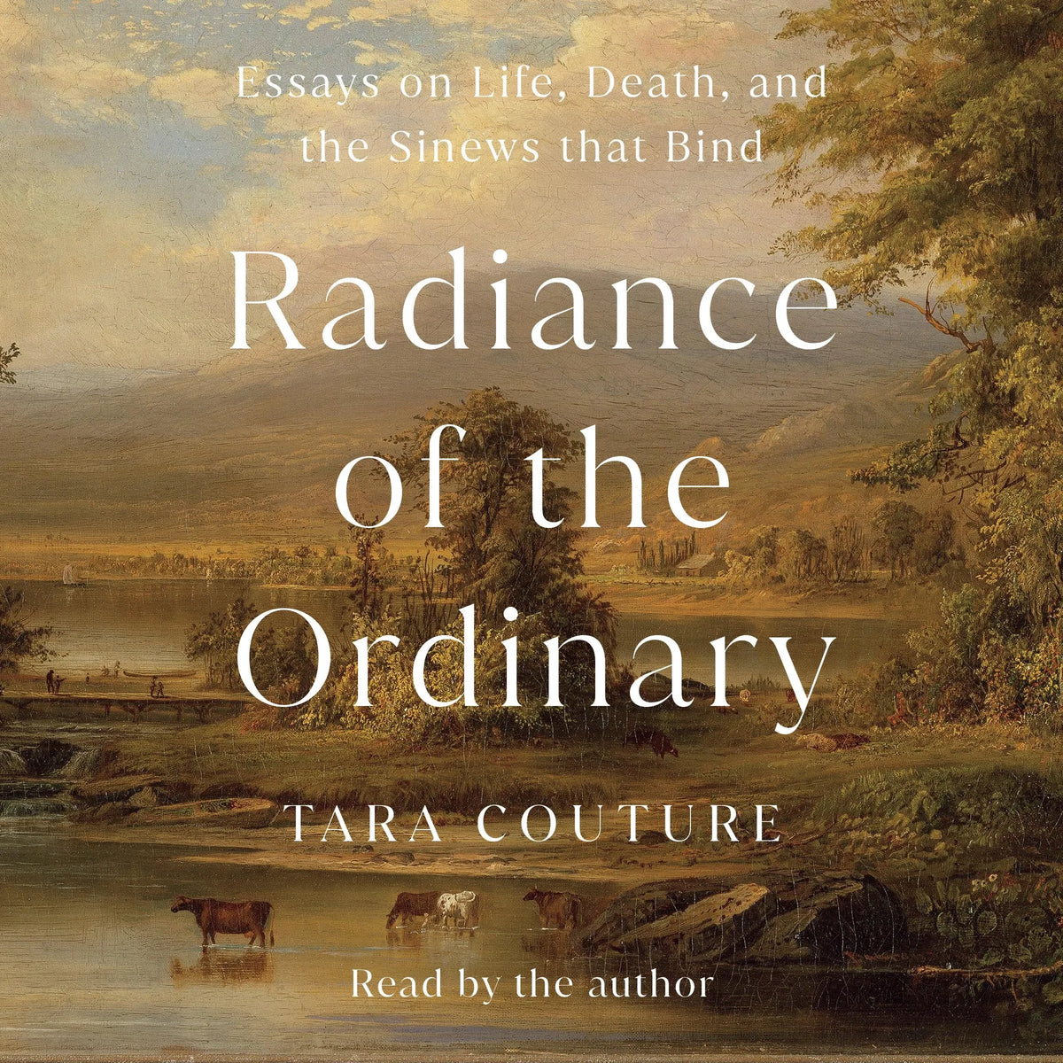 Radiance of the Ordinary