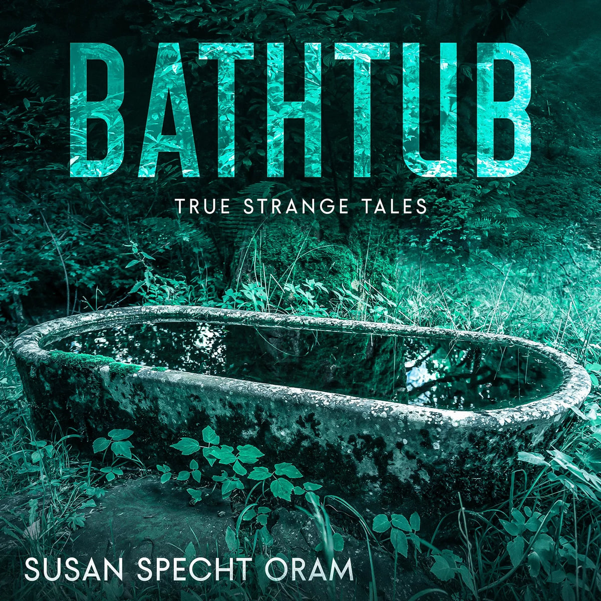 Bathtub